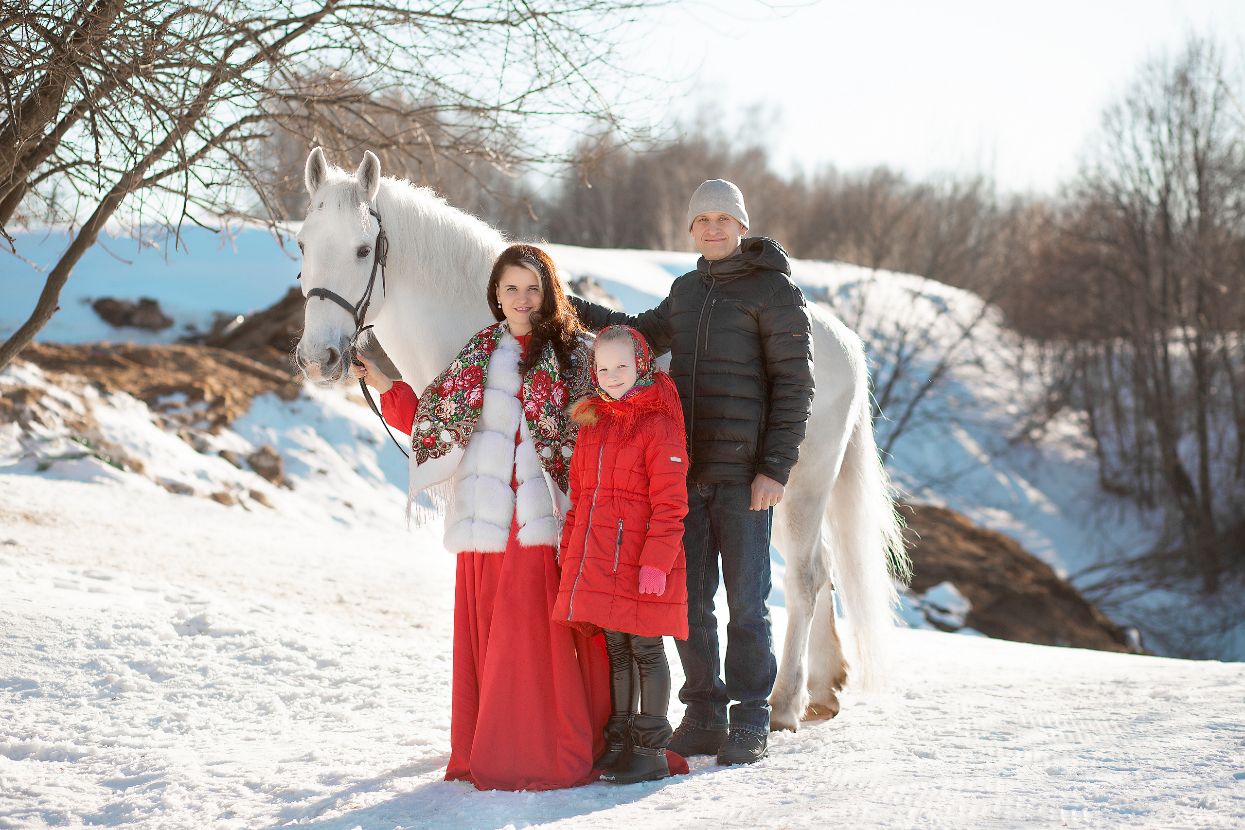 Фотосессия Марии с семьей и Воробушком). Фотосессия с лошадьми в Нижнем Новгороде