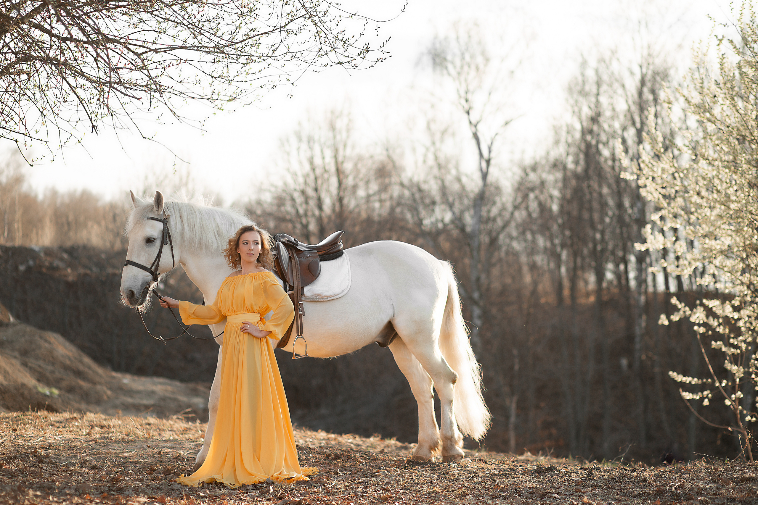 Фотосессия Екатерины и Воробья. Фотосессия с лошадьми в Нижнем Новгороде