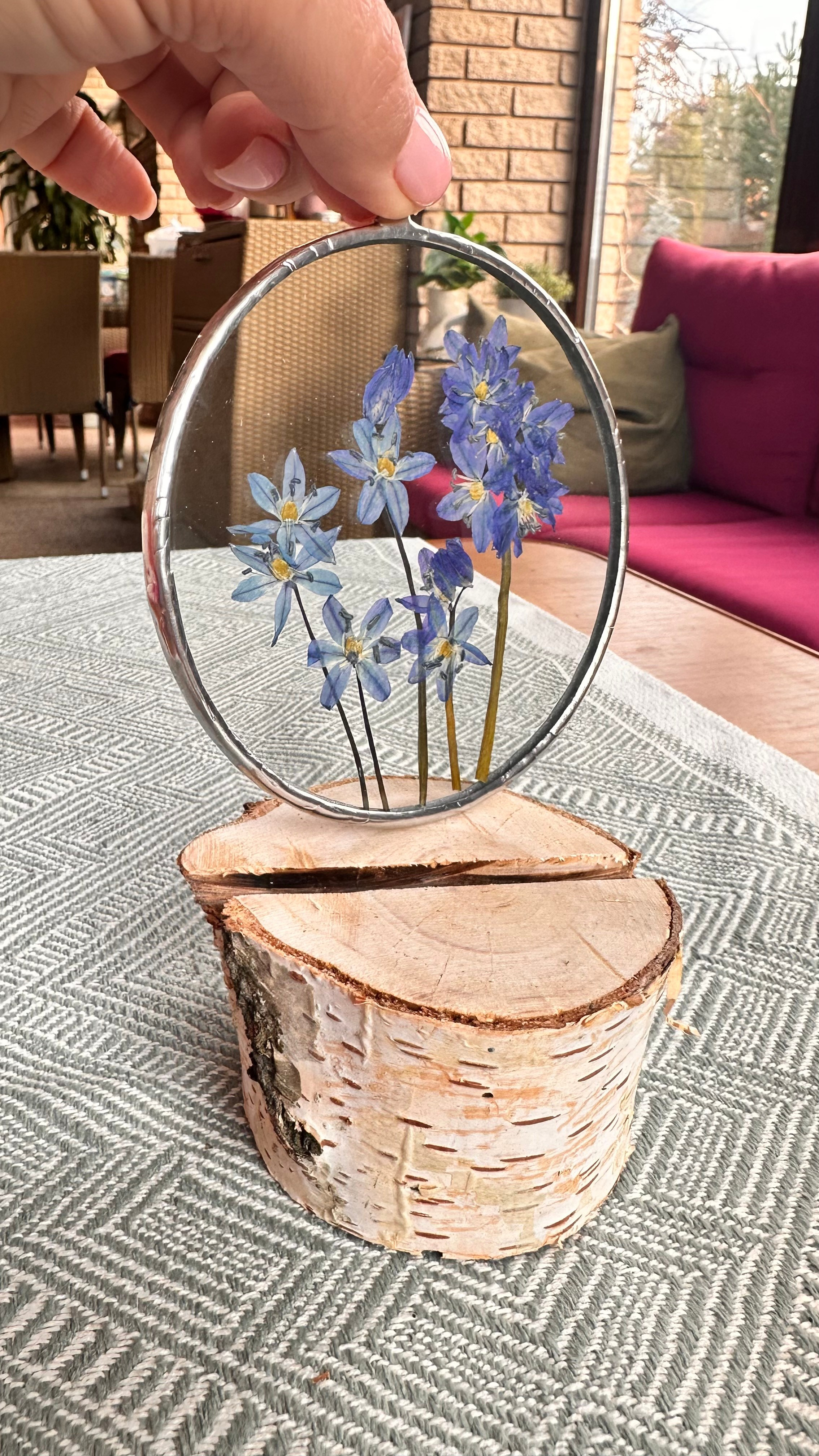 Пролеска сибирская круг 10 см. Оформляю пространства. Витражи с сухоцветами в технике Тиффани