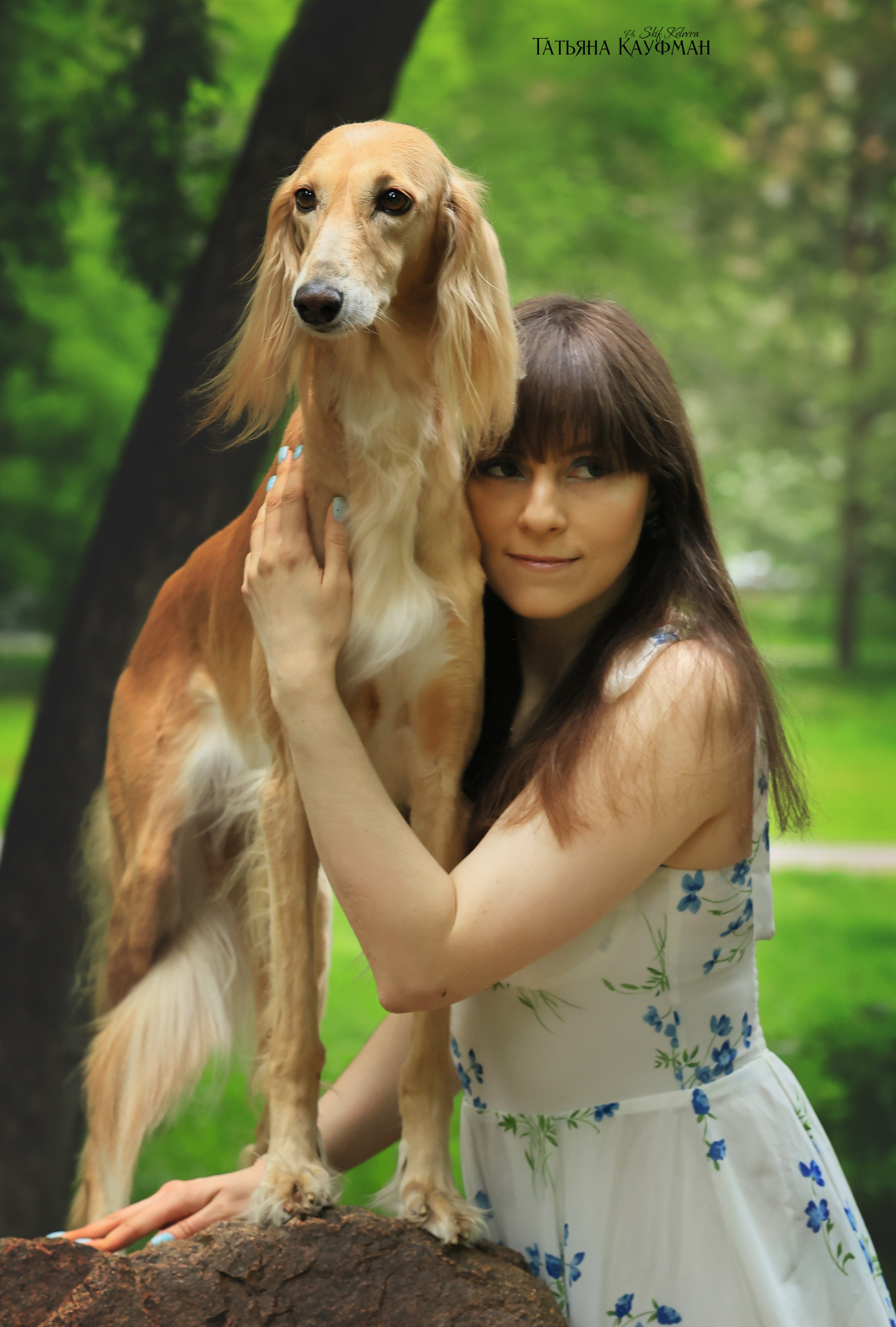 Салюки, фотография салюки, собака в цветах, красивая собака, фотограф анималист, фотокурс Анималистика, научиться фотографировать собак, фотограф Новосибирск