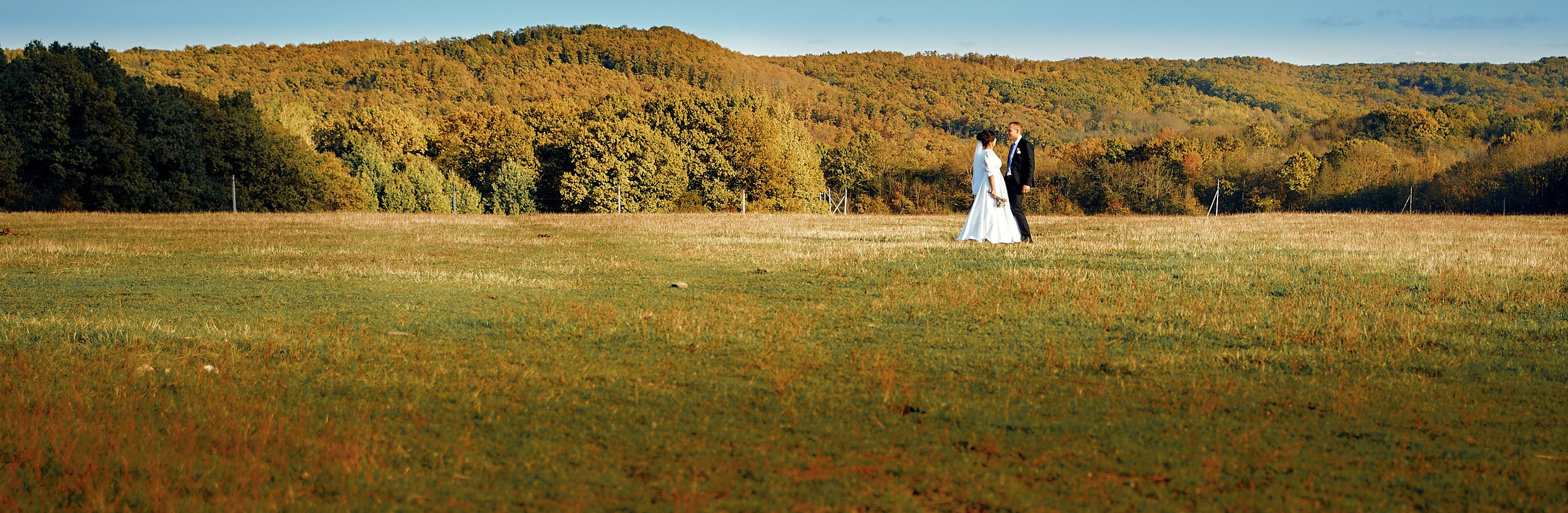 Осенняя фотосессия 2024. Петр Ступень. Свадебное, семейное фото и видео. Москва. Краснодар