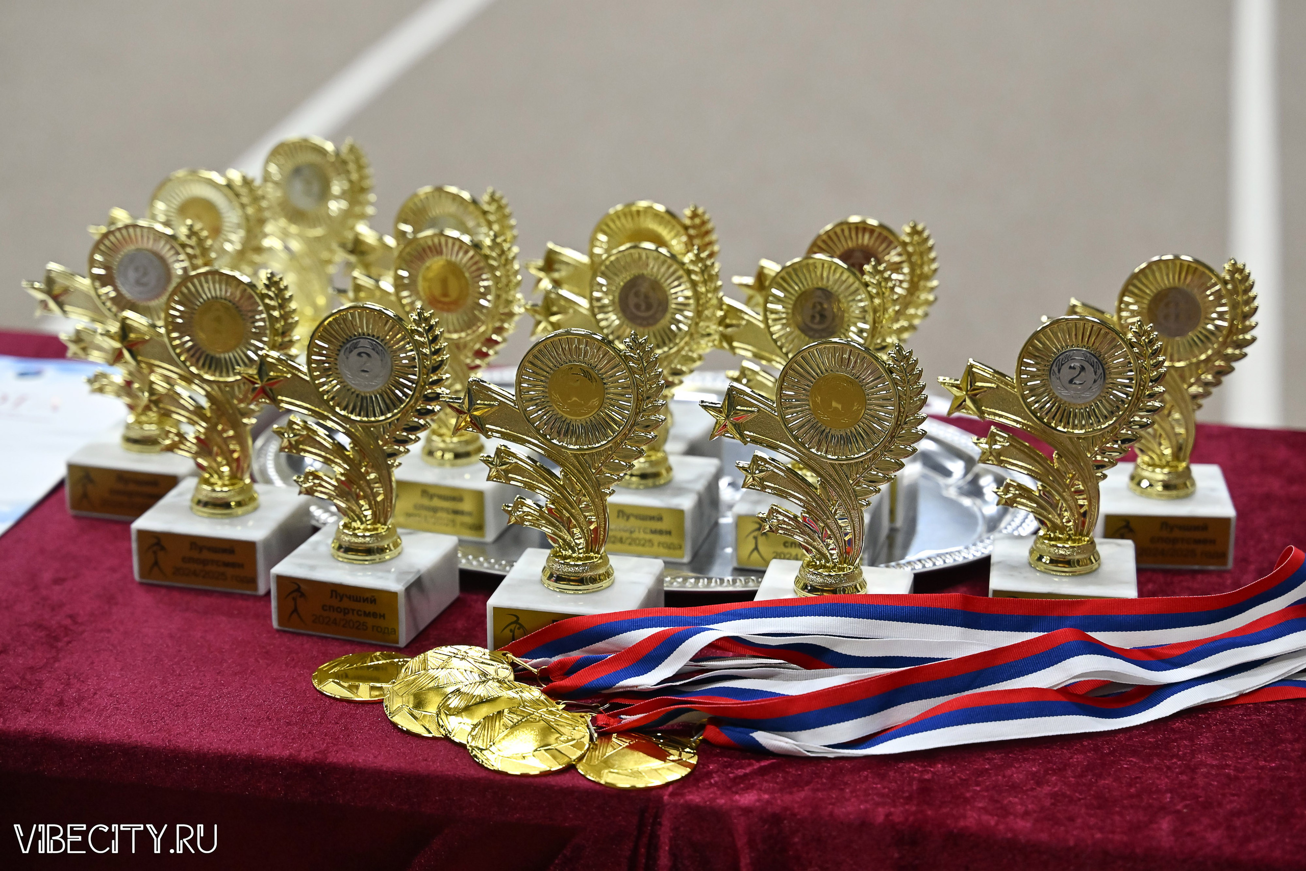 Контрольная тренировка по спортивной гимнастике. VIBECITY.RU Вайб Сити Ру Фоторепортажи Фотоотчеты Калининград