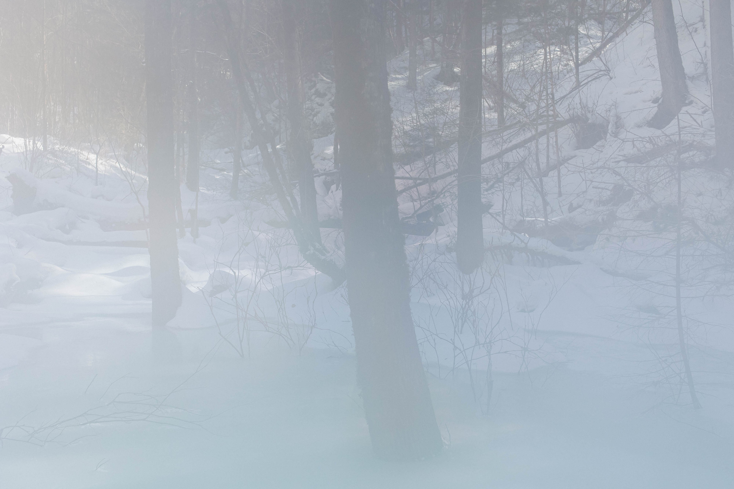 Пока не застроили. Evgeniya Kokurina