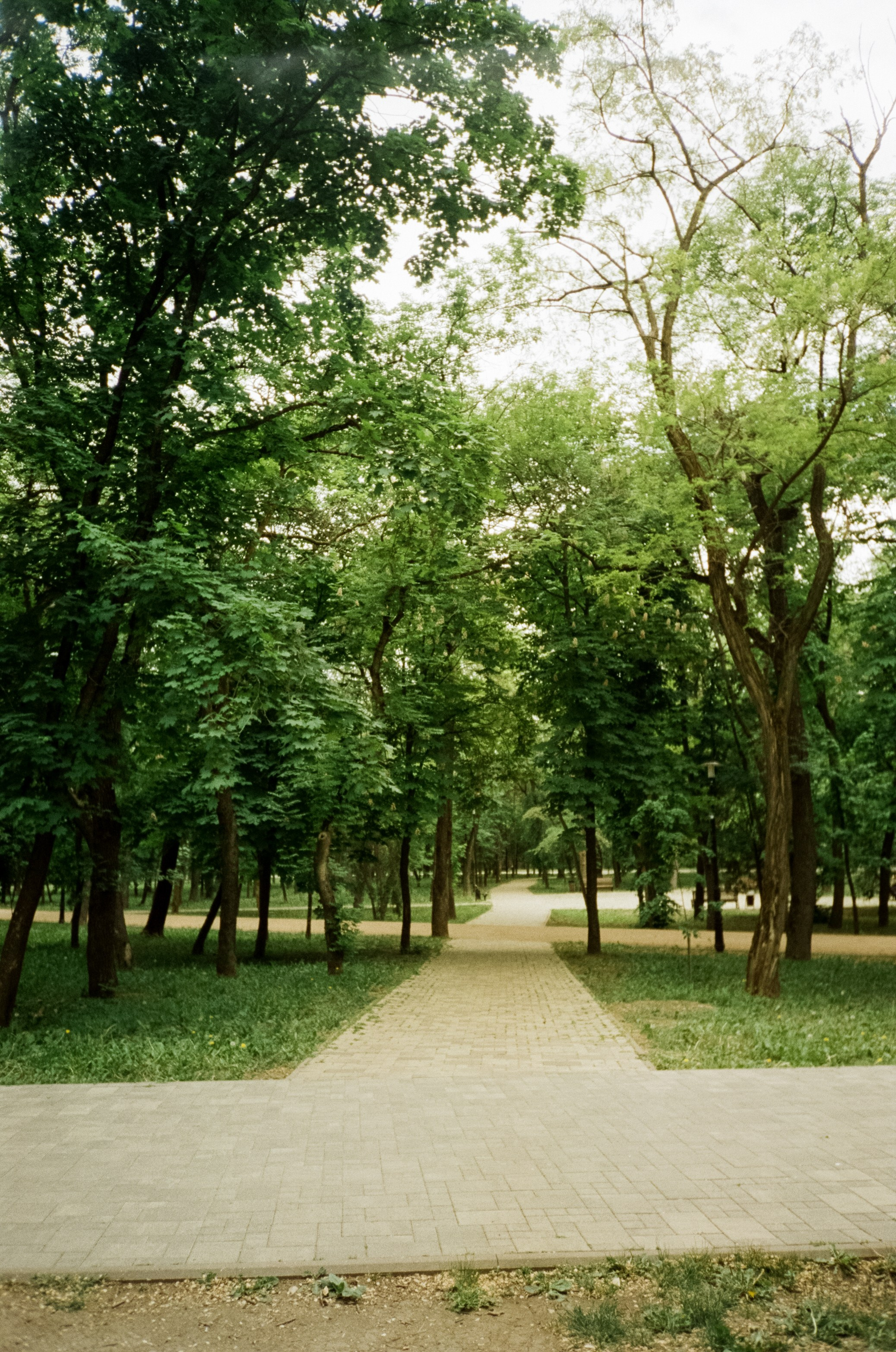 Прогулка в Курортном парке. Ессентуки. Фотограф-документалист Мария Осокина