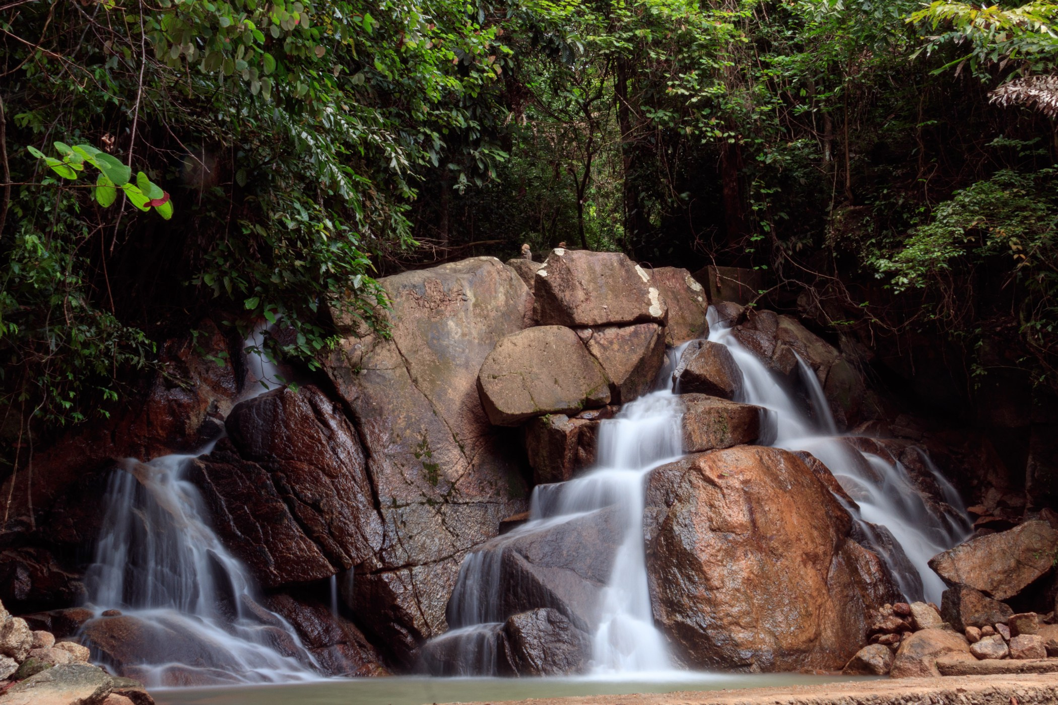 Фотограф на Пхукете Александр Арефьев