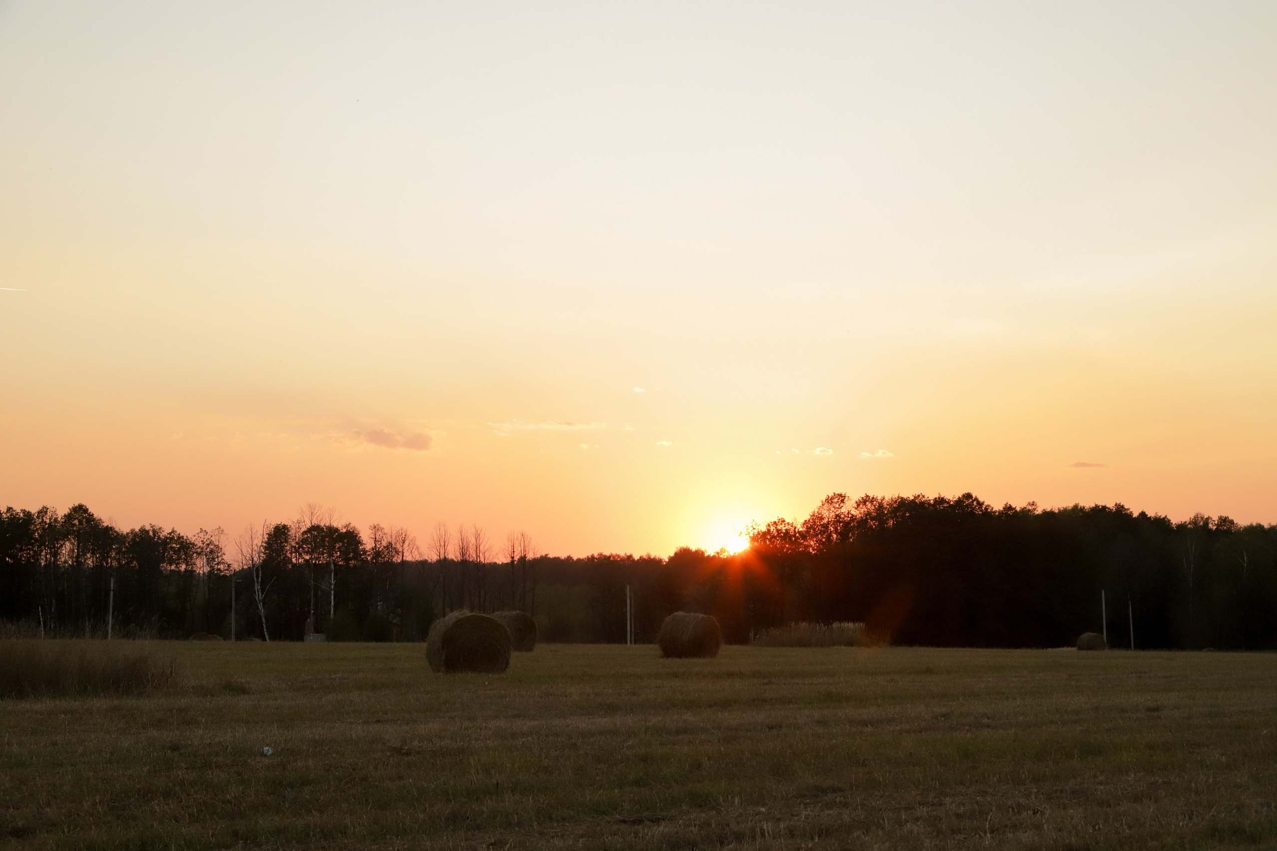 Мама с детьми в поле стога. Диана Николаева — фотограф город Балашиха
