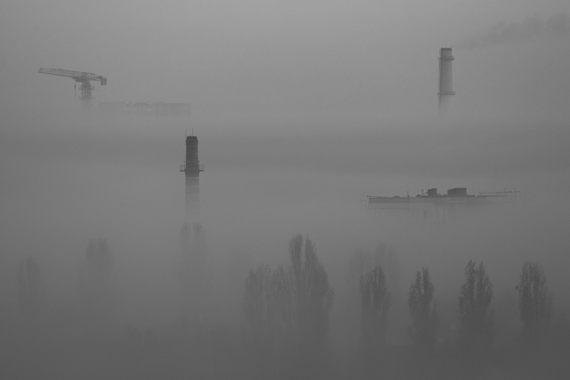 Селезнёв Константин. «ФотоСинтез»