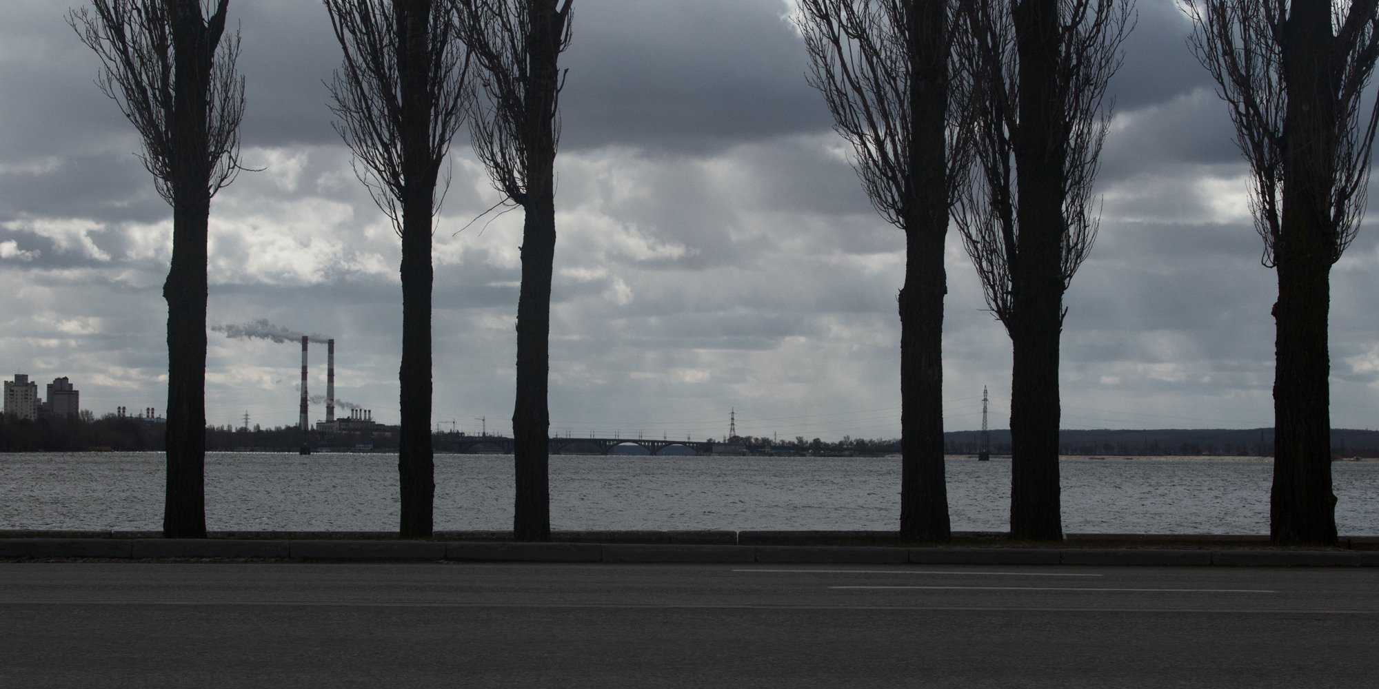 Селезнёв Константин. «ФотоСинтез»