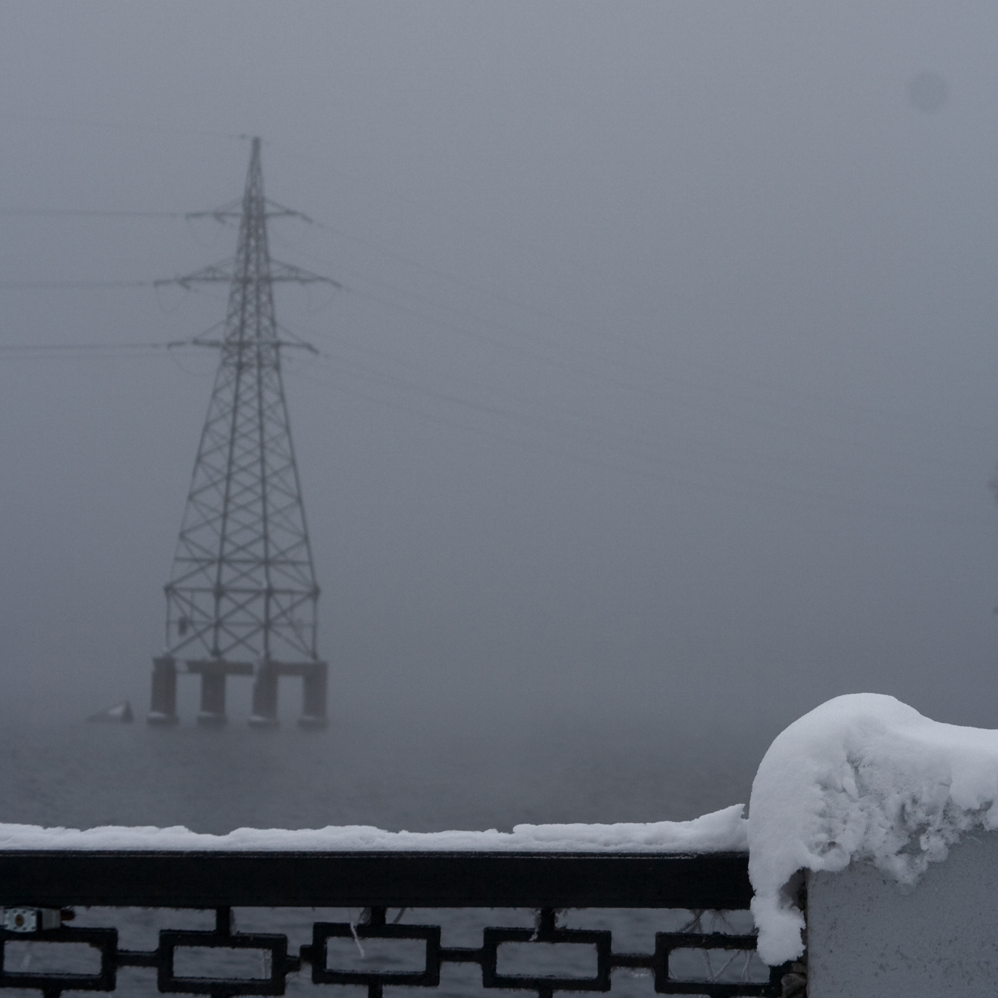 Селезнёв Константин. «ФотоСинтез»