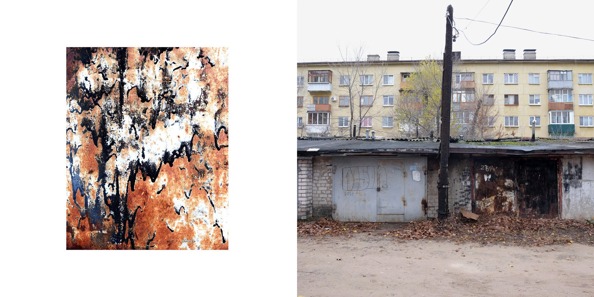 Процук Родион. «ФотоСинтез»