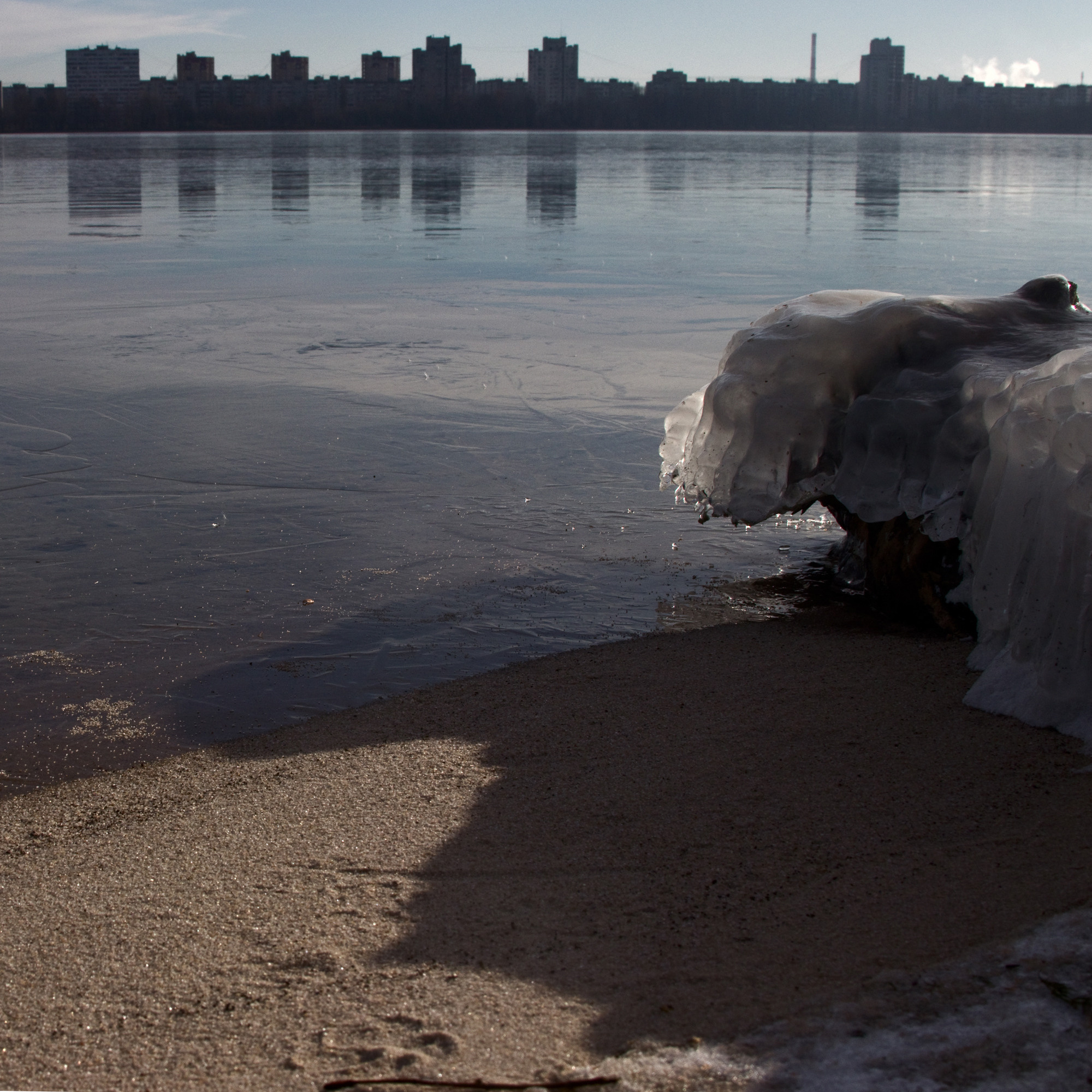 Селезнёв Константин. «ФотоСинтез»