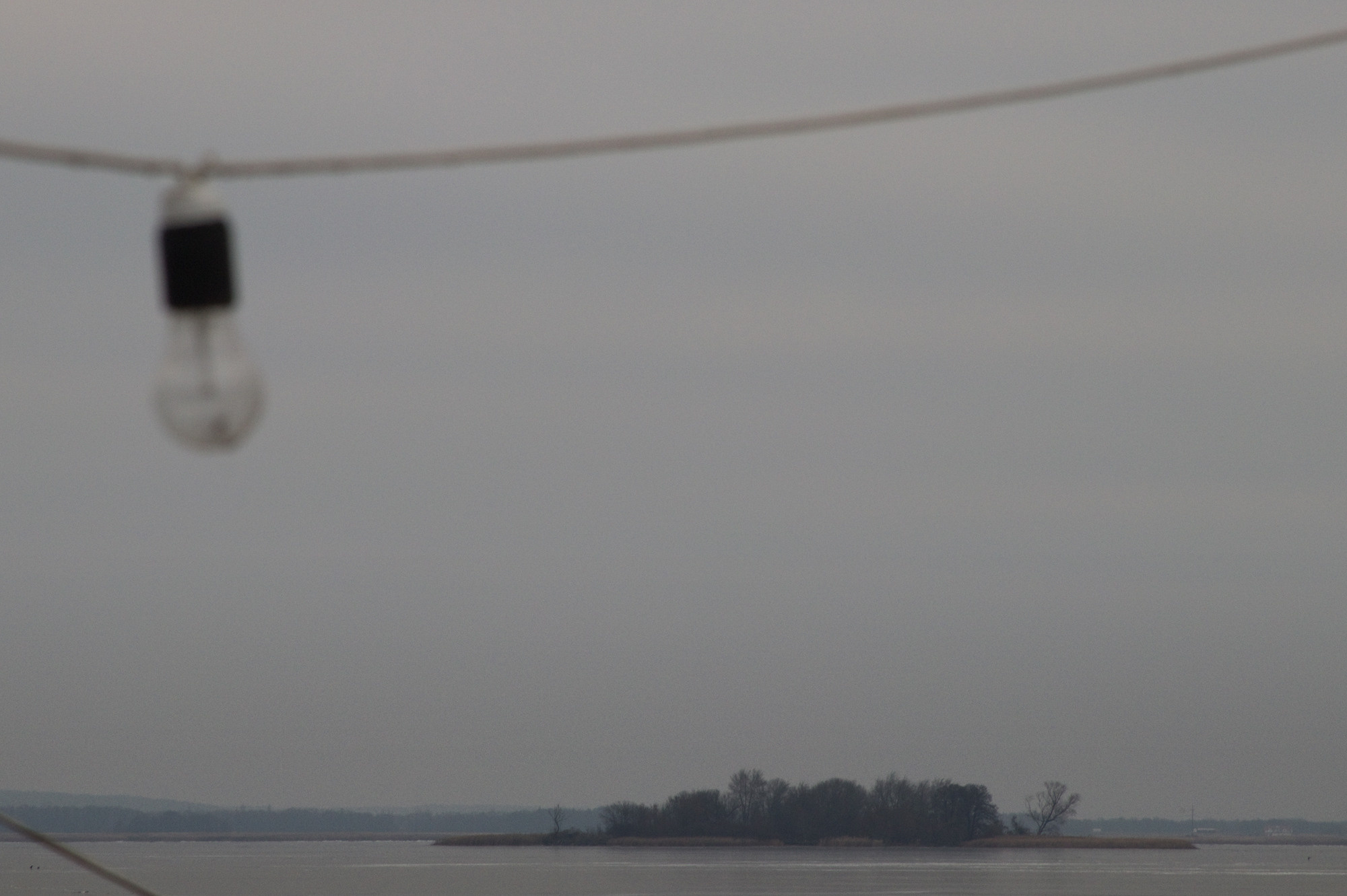 Селезнёв Константин. «ФотоСинтез»