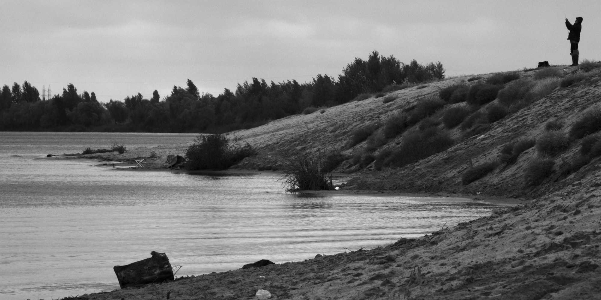 Селезнёв Константин. «ФотоСинтез»