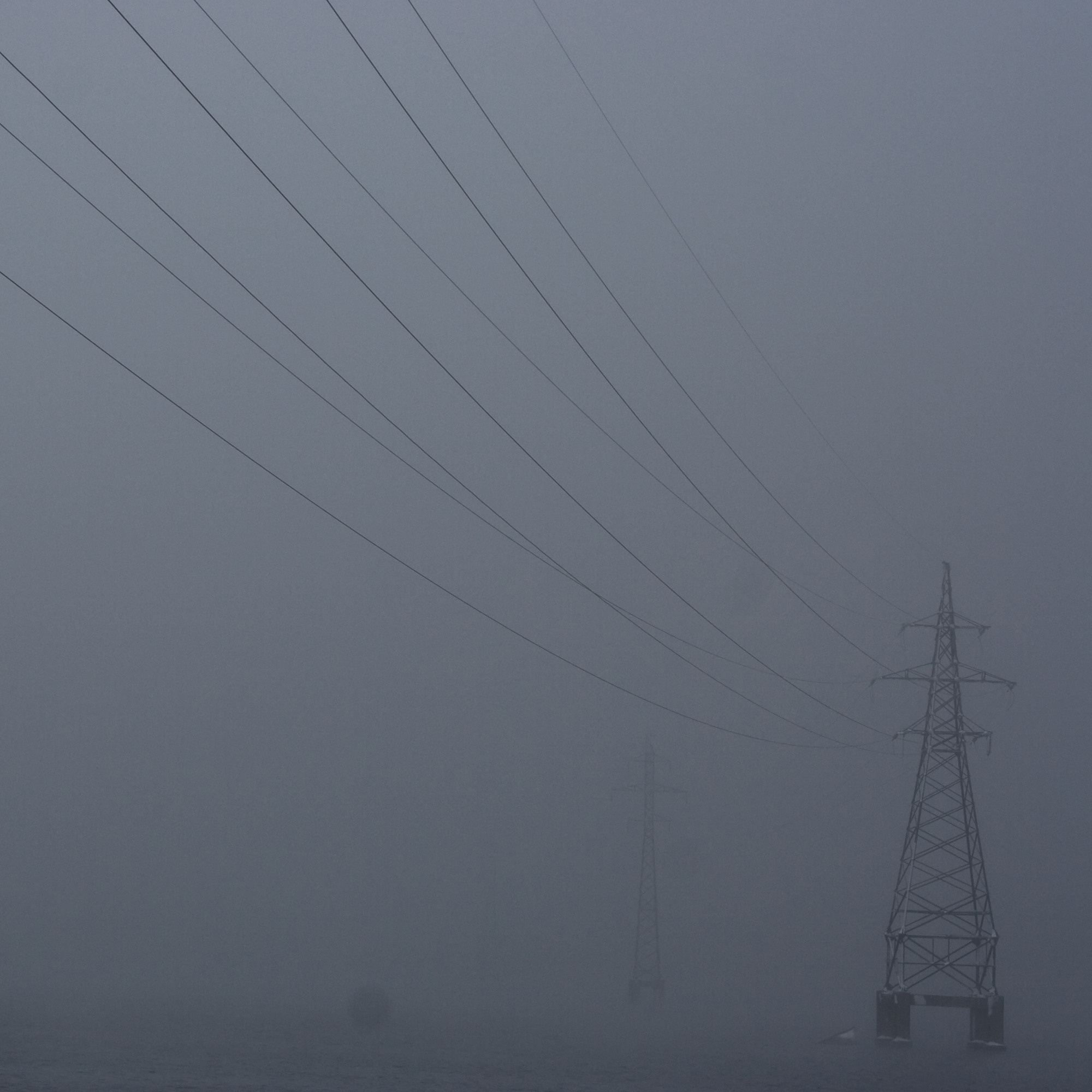 Селезнёв Константин. «ФотоСинтез»