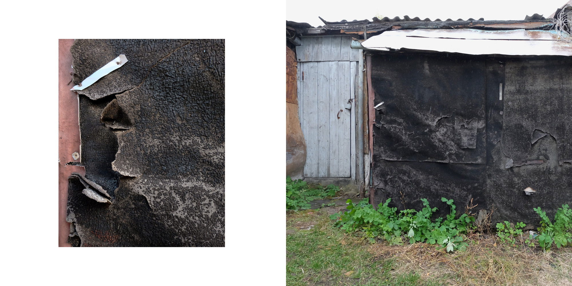 Процук Родион. «ФотоСинтез»