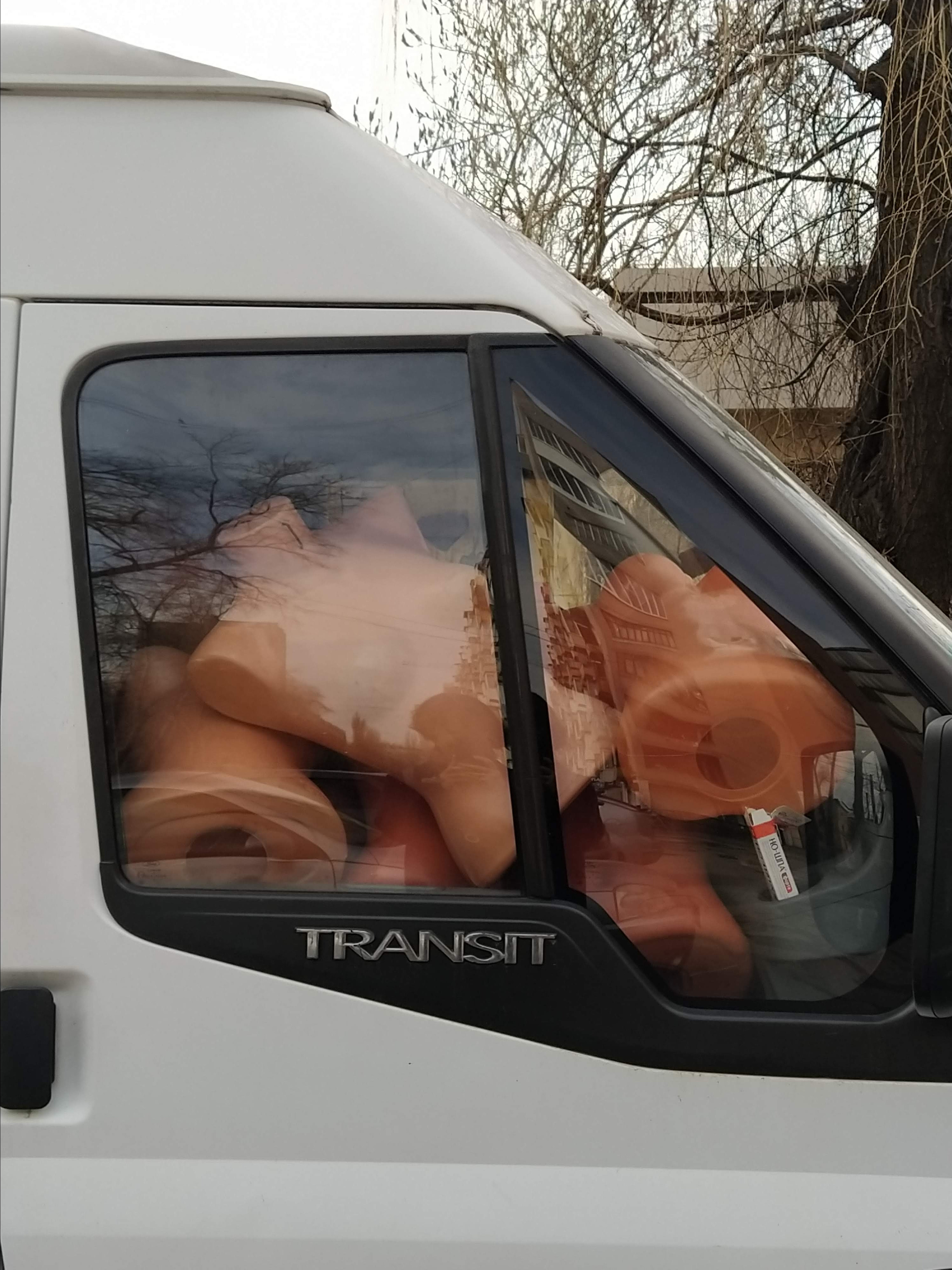 Бражникова Кристина. «ФотоСинтез»