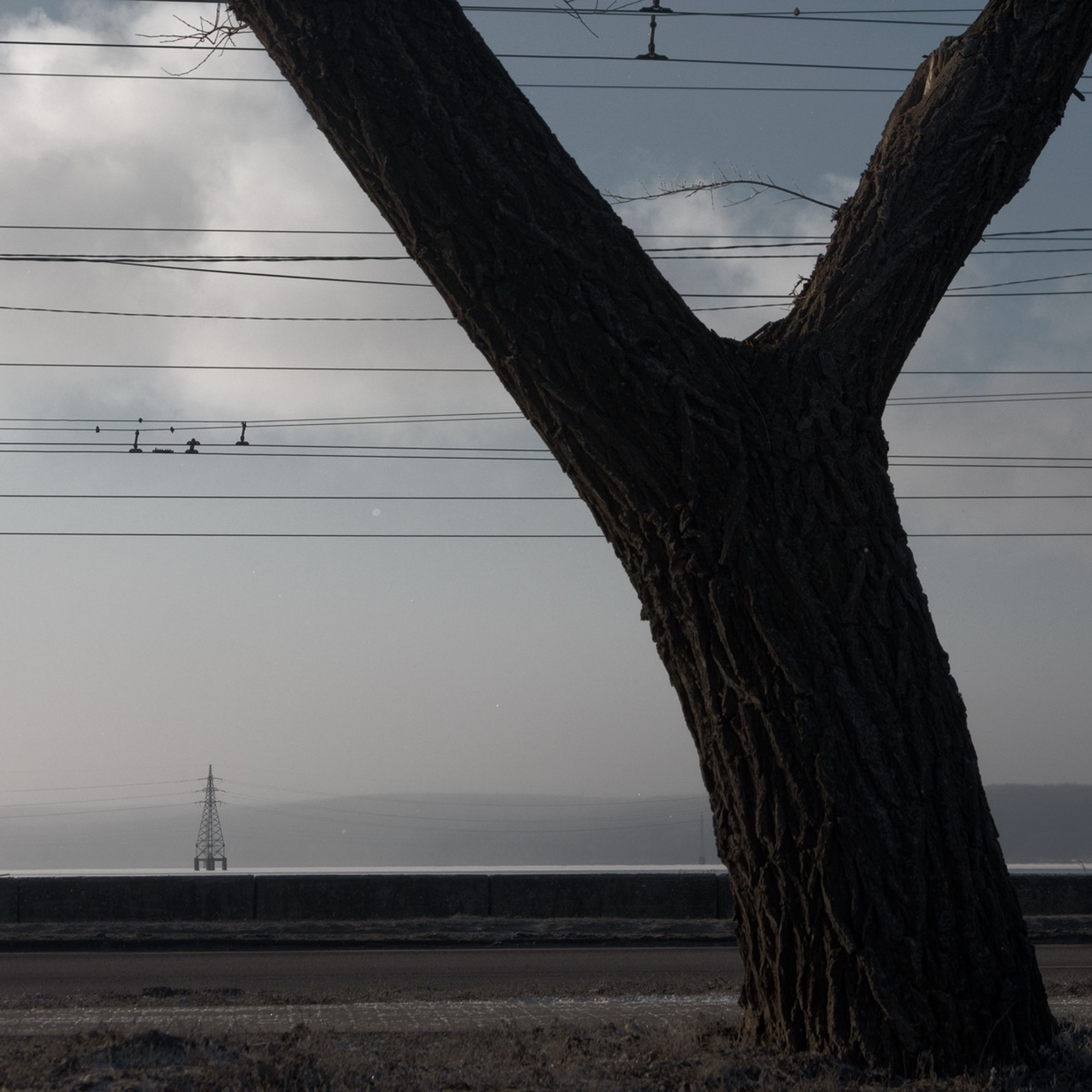 Селезнёв Константин. «ФотоСинтез»