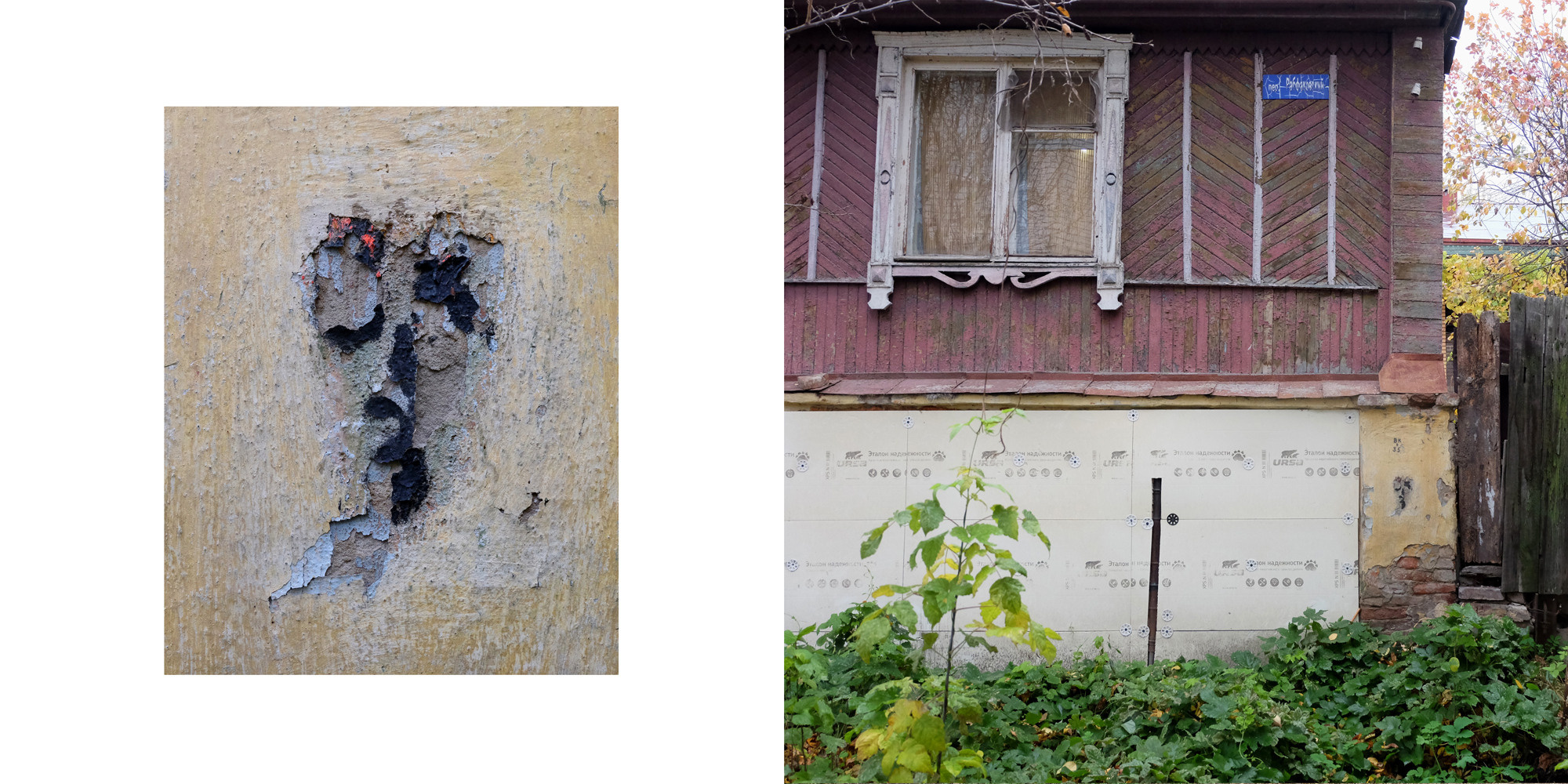 Процук Родион. «ФотоСинтез»