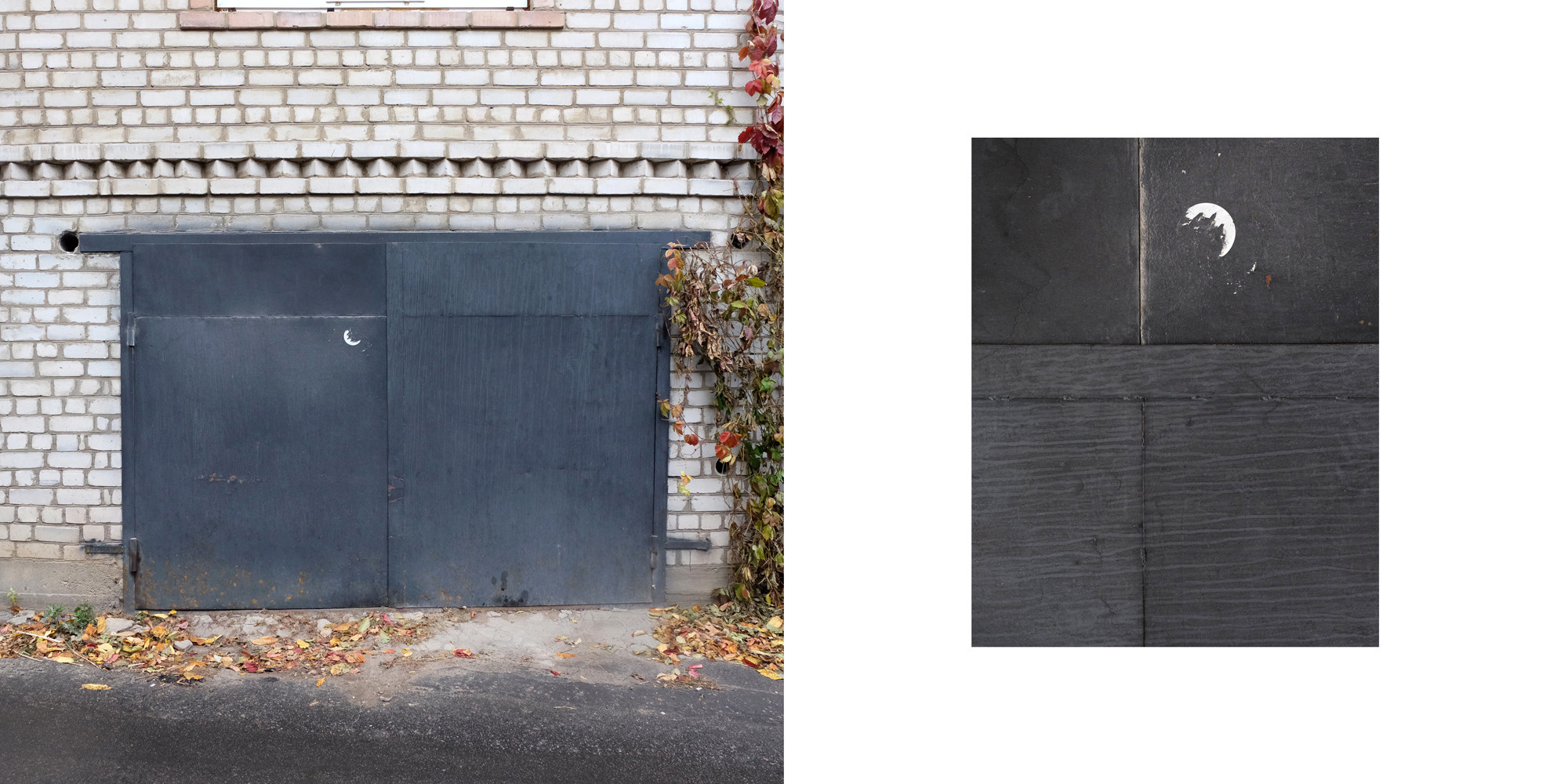 Процук Родион. «ФотоСинтез»