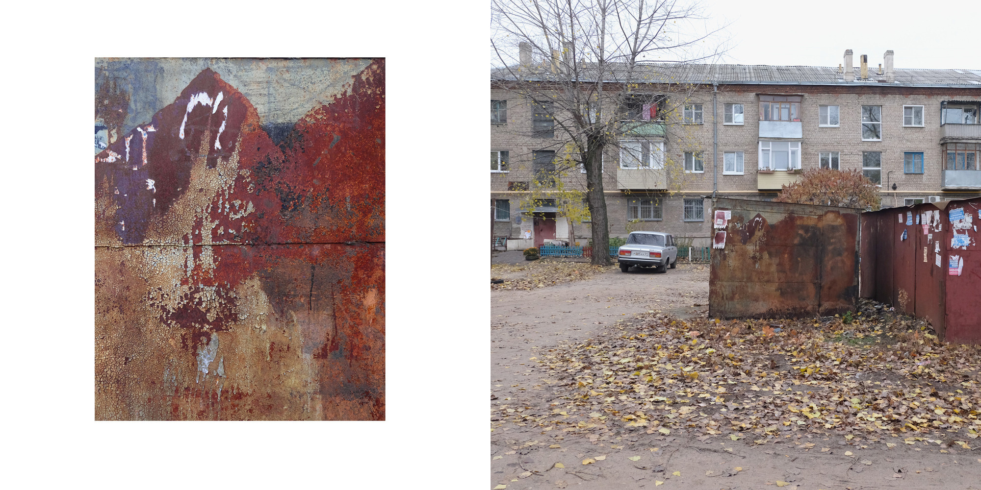 Процук Родион. «ФотоСинтез»