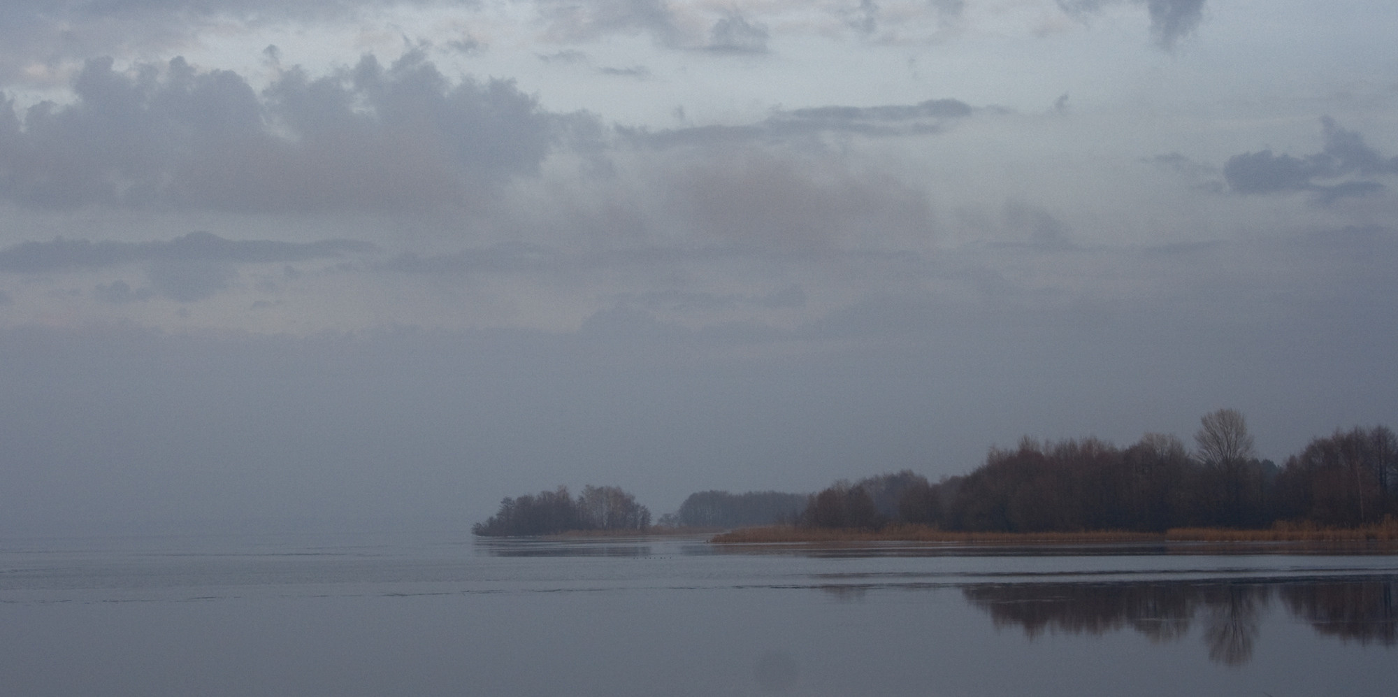Селезнёв Константин. «ФотоСинтез»