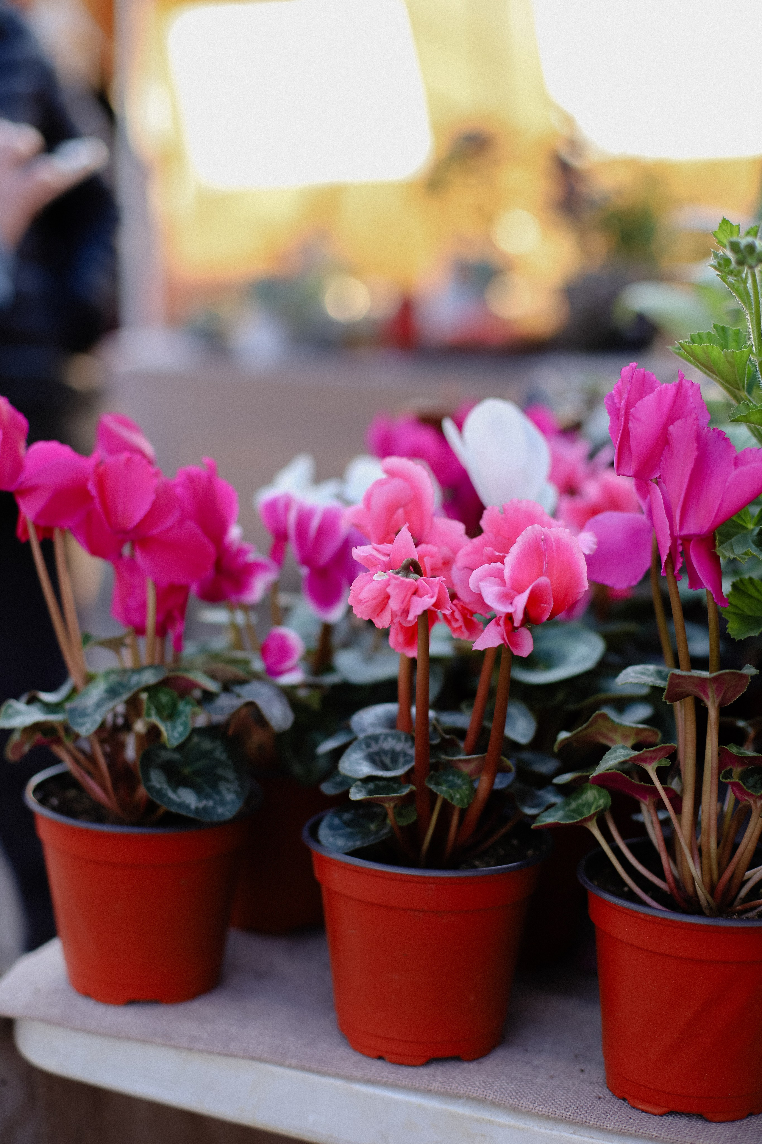 25.03 Ramstore и Интересные вещи. Фотограф в Алматы и Москве Даша Пушкина