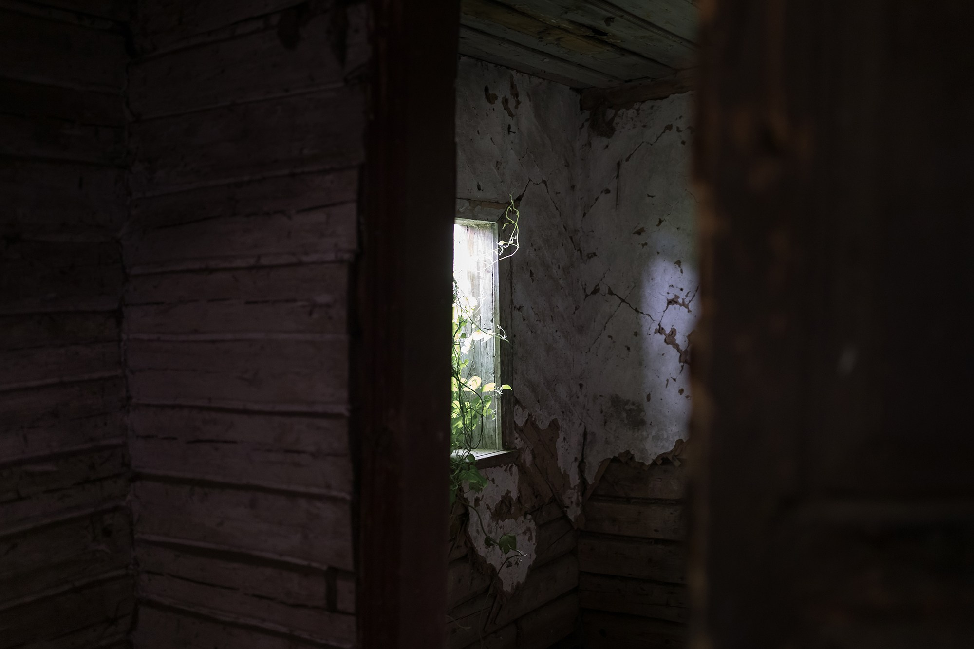 Russia. Documentary and art photographer Alexey Terentyev