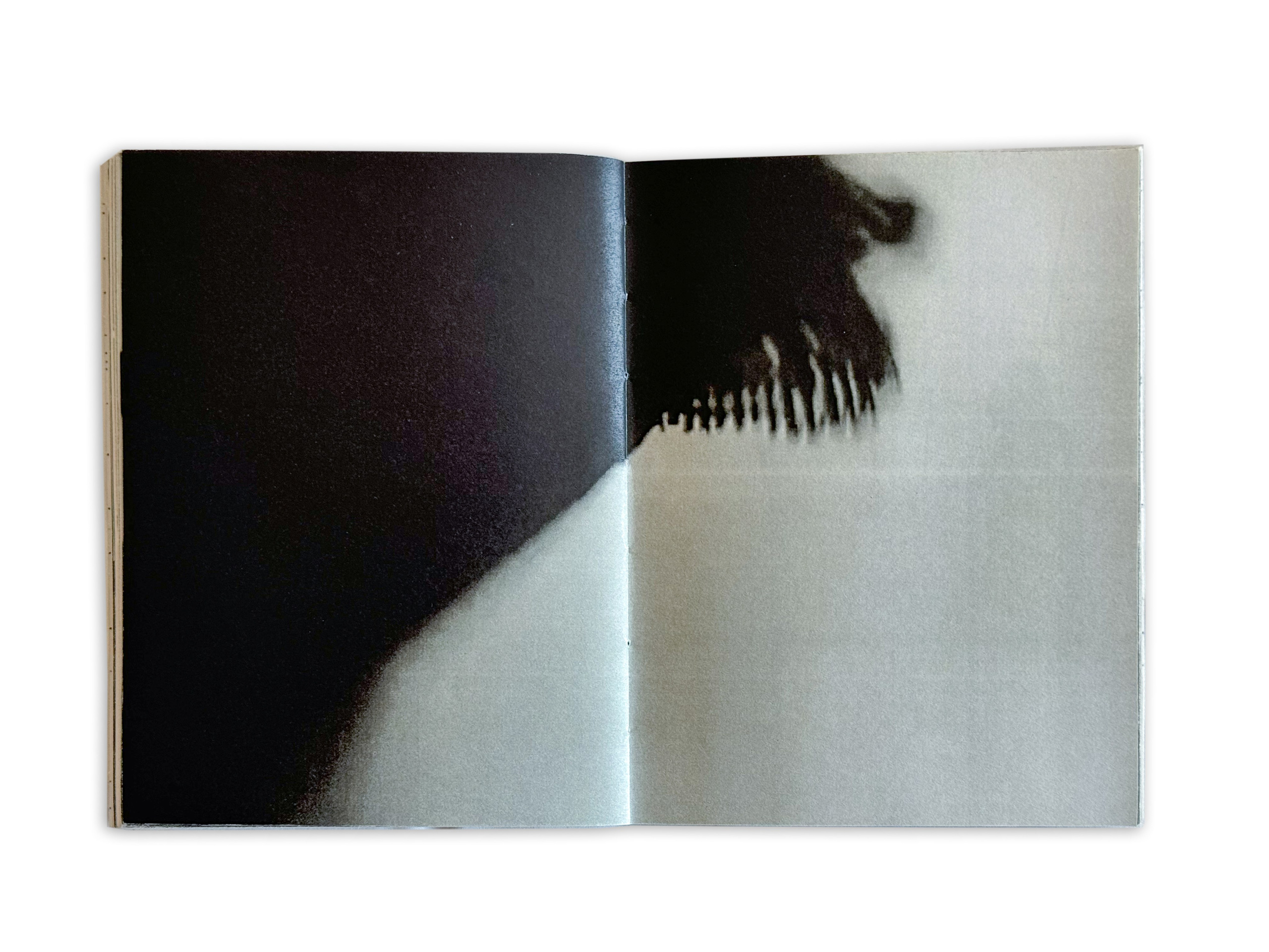 Цветок на камне. Лера Круглова