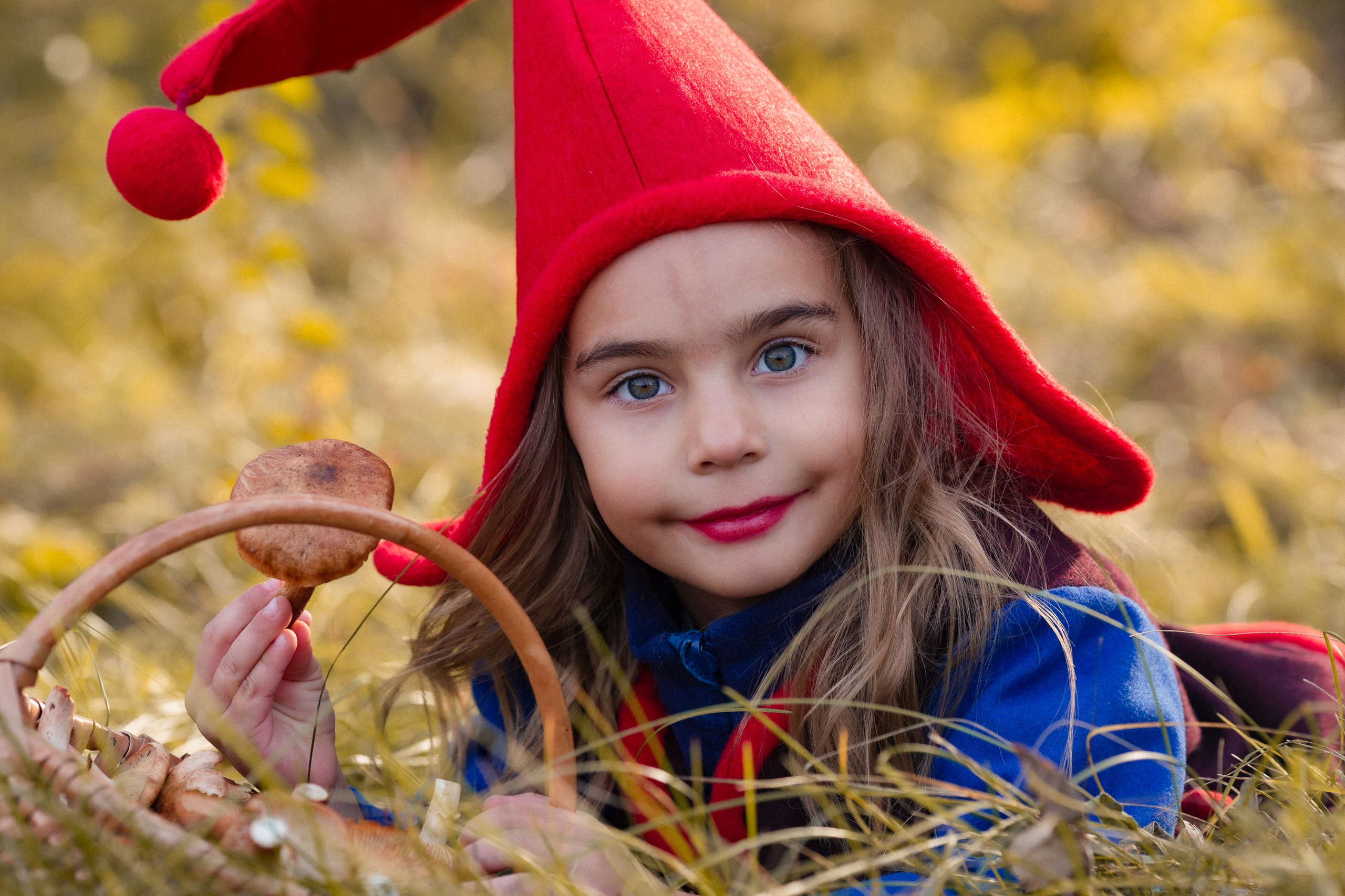 Лесные гномы