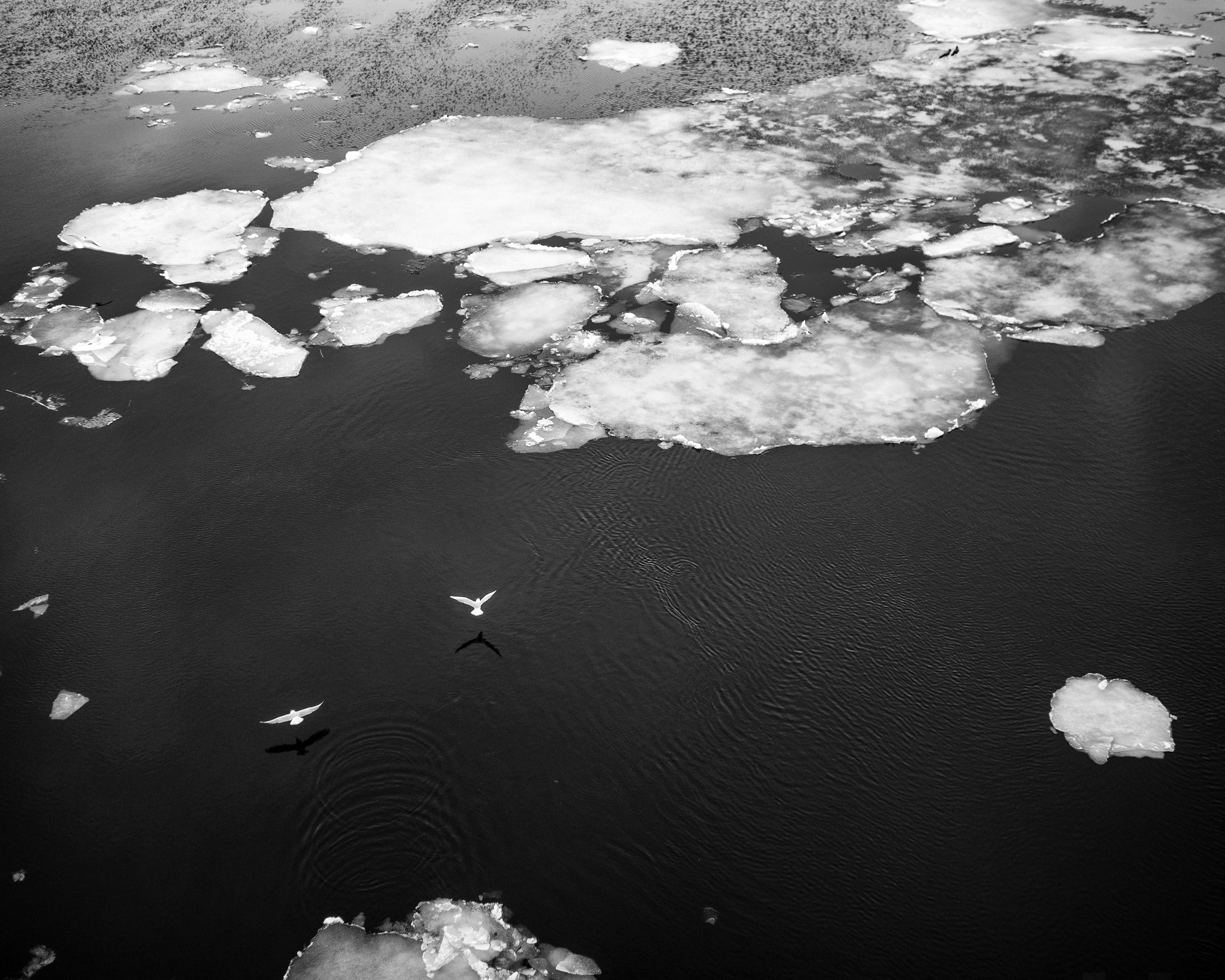 Принты. Фотограф Вера Фролова