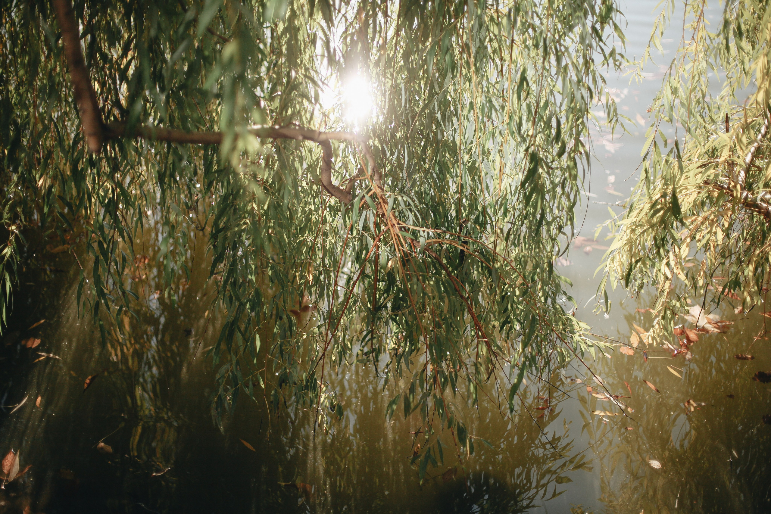 Семейные съемки. Ксения Плотникова