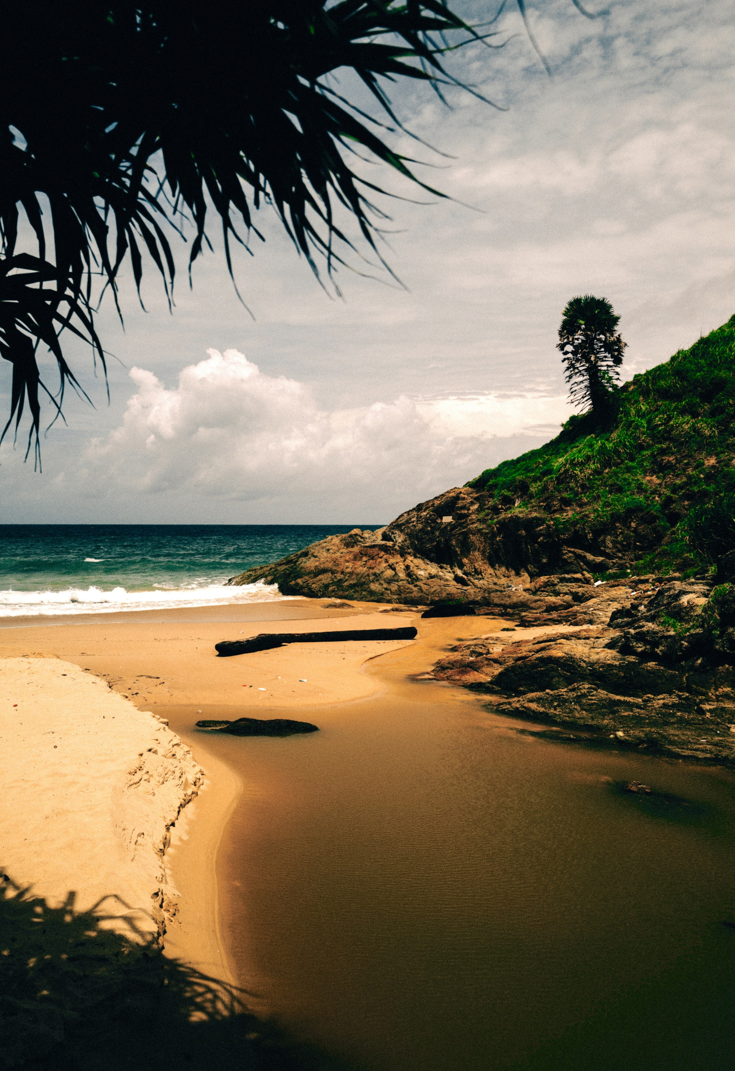 AUTHENTIC FILM. Visual artist Daniil Kontorovich