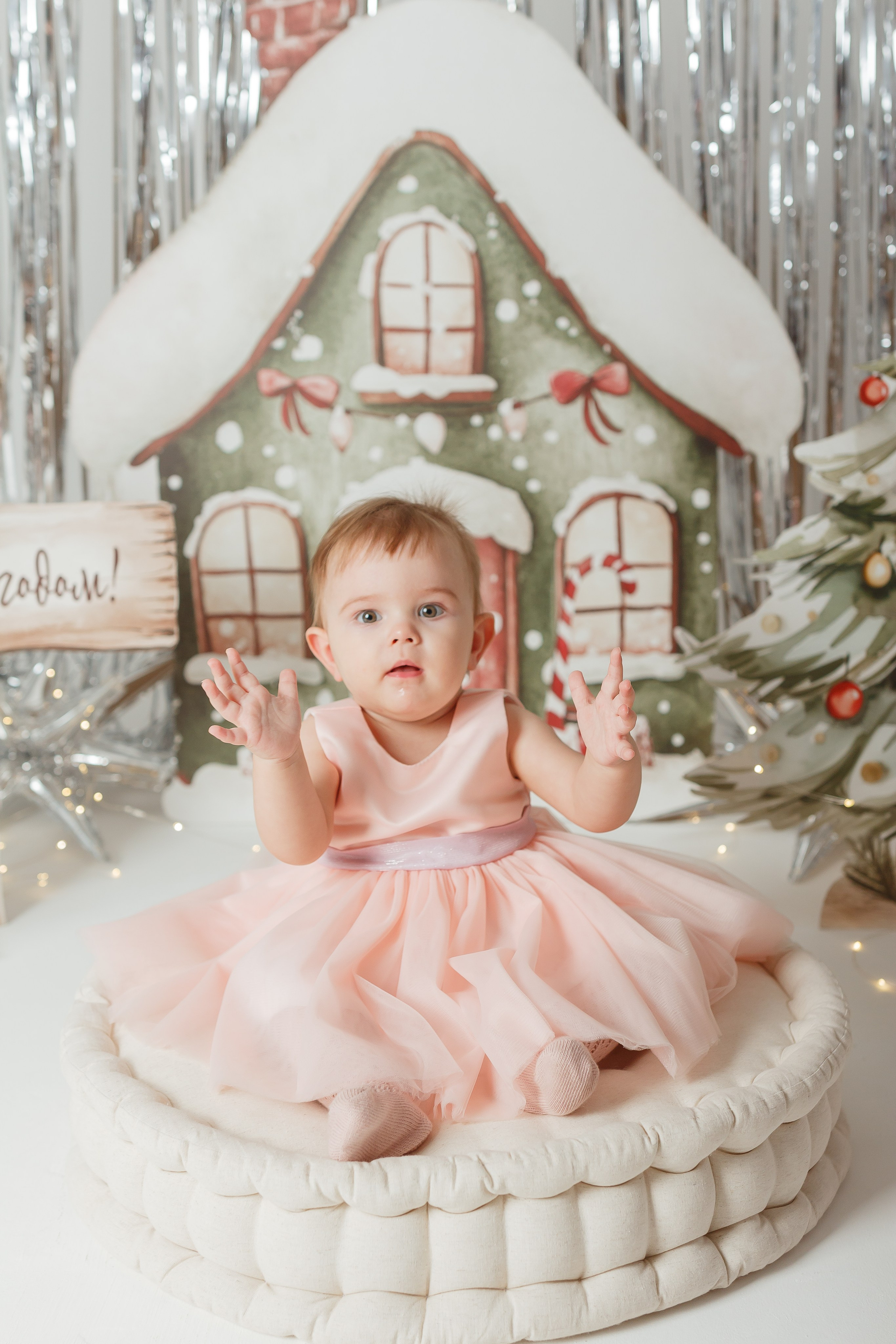 Новогодние истории 2026. Детская Фотостудия Риддер