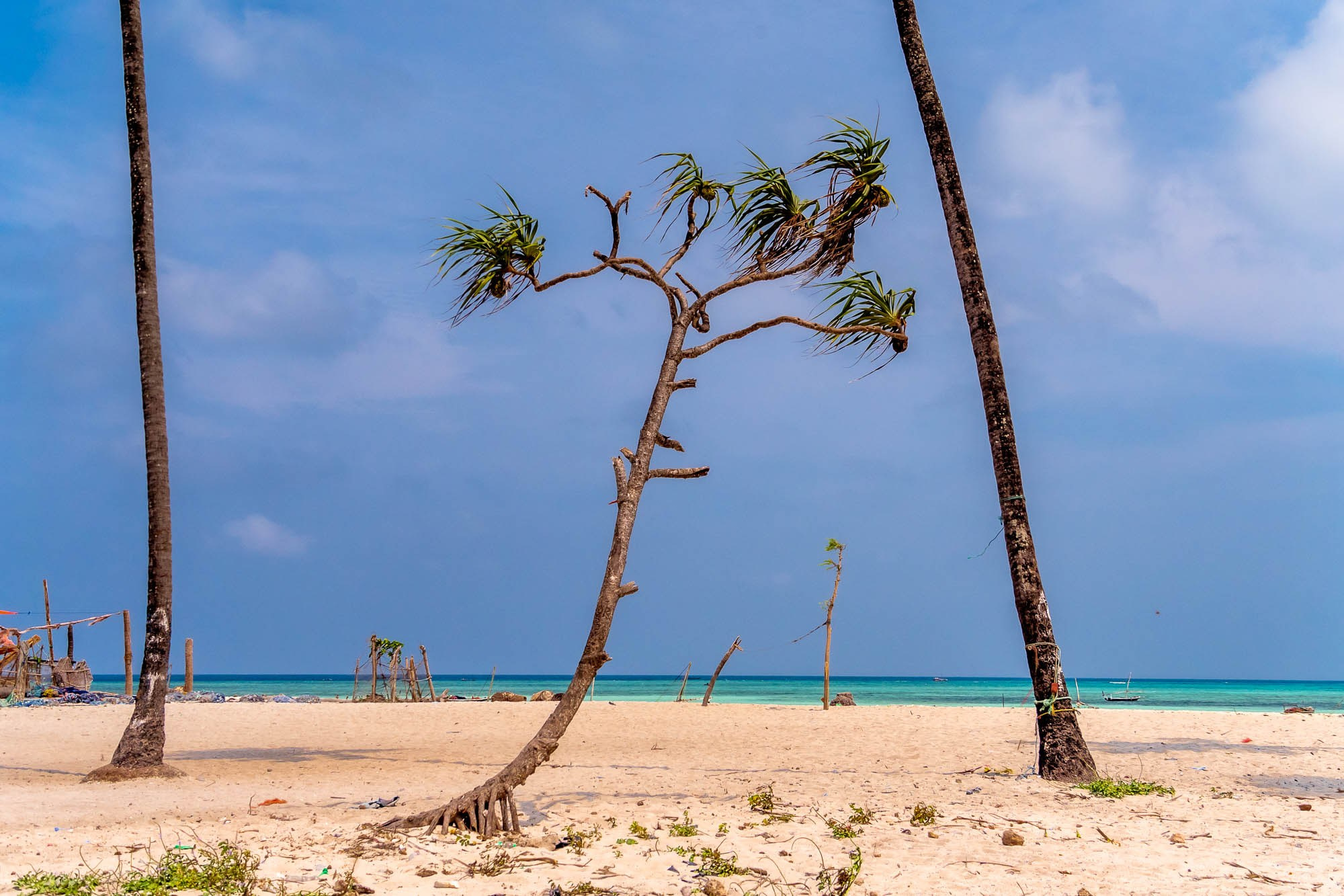 Африка, Танзания, Занзибар, Нунгви. Africa, Tanzania, Zanzibar, Nungwi. Фотограф Алексей Скоробогатько