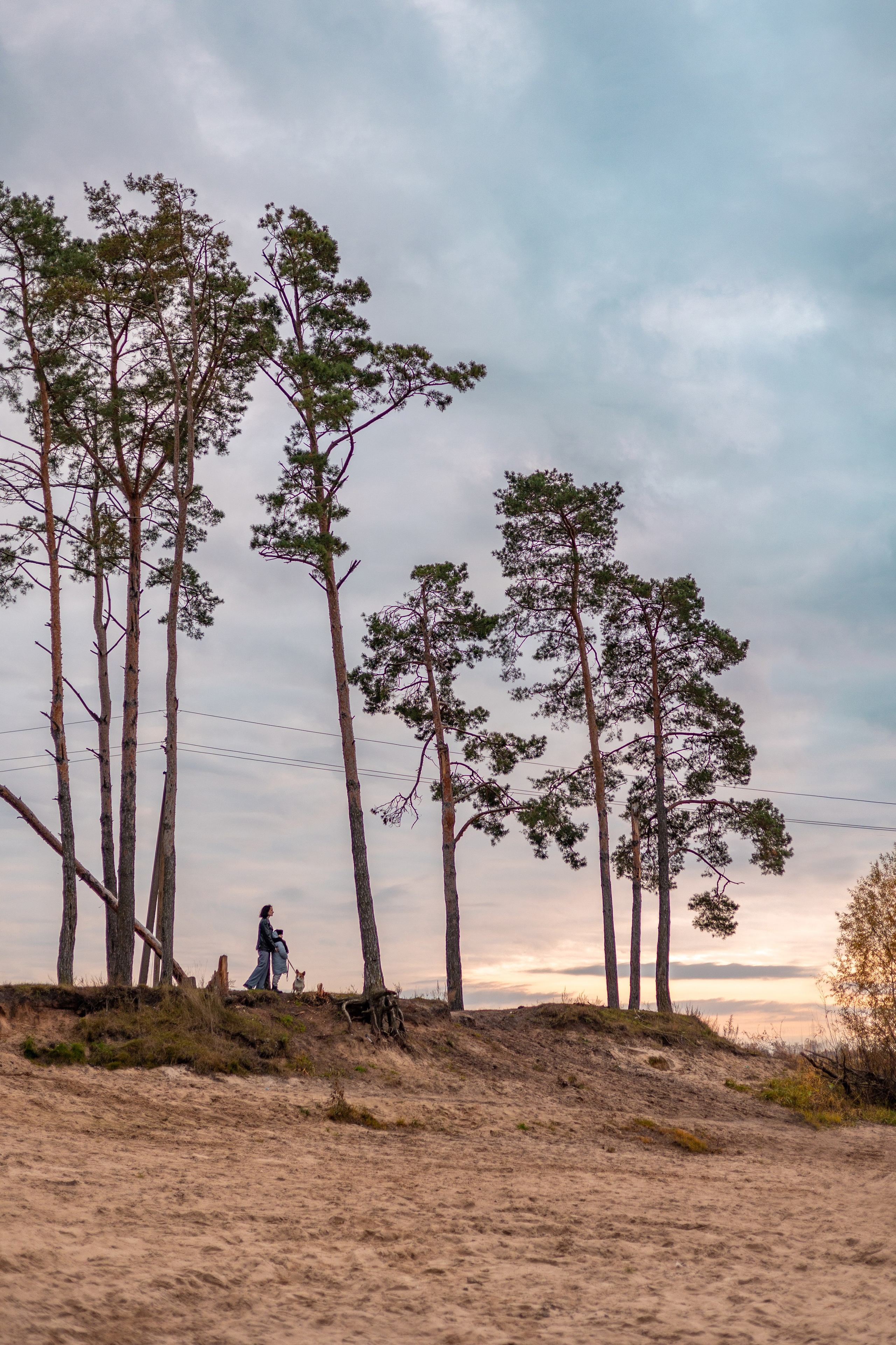 Орлик. Семейный и детский фотограф |Брянск| Анастасия Перепелкина