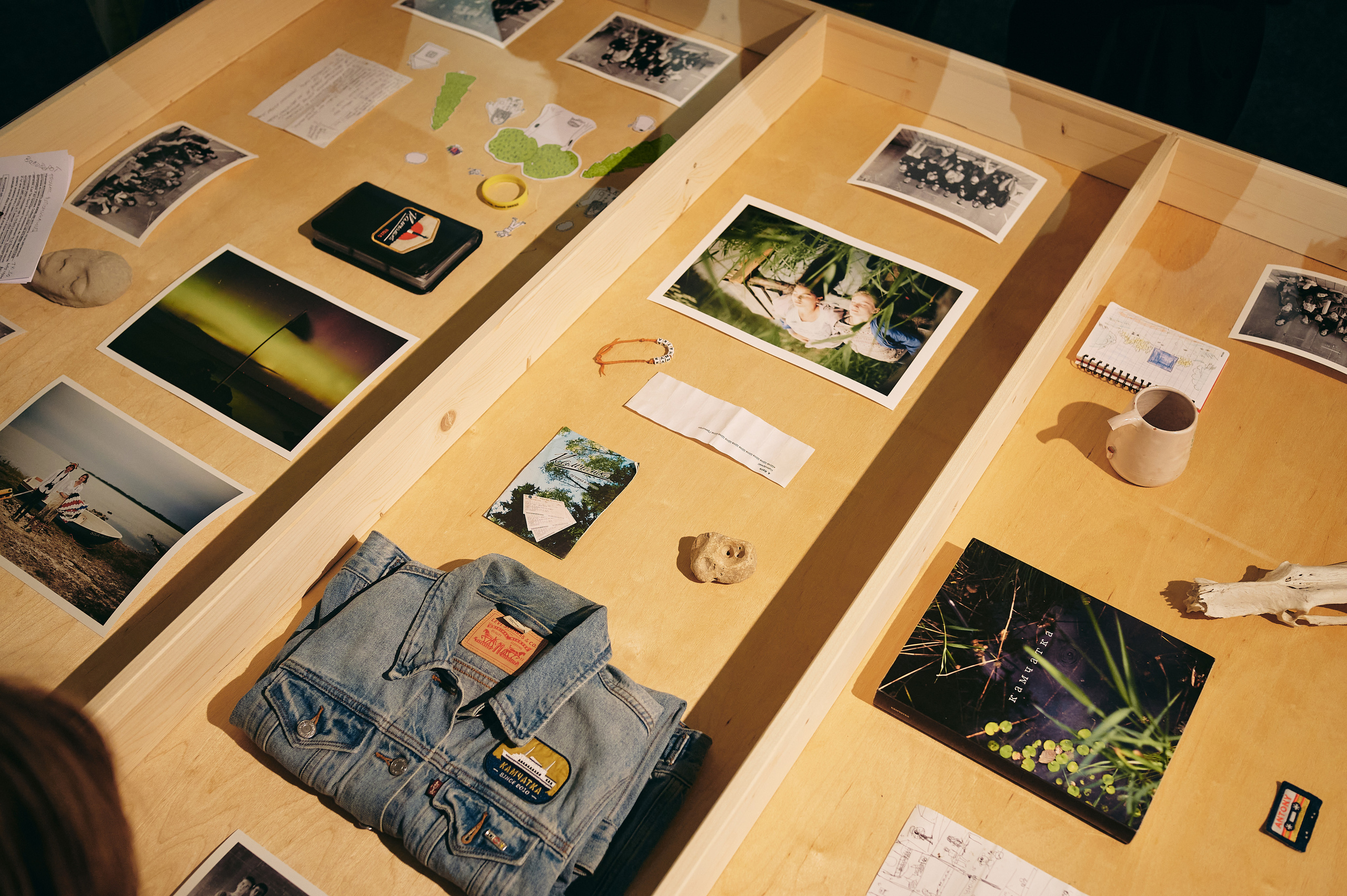 И вот мне приснилось, что сердце моё не болит. Ксения Плотникова