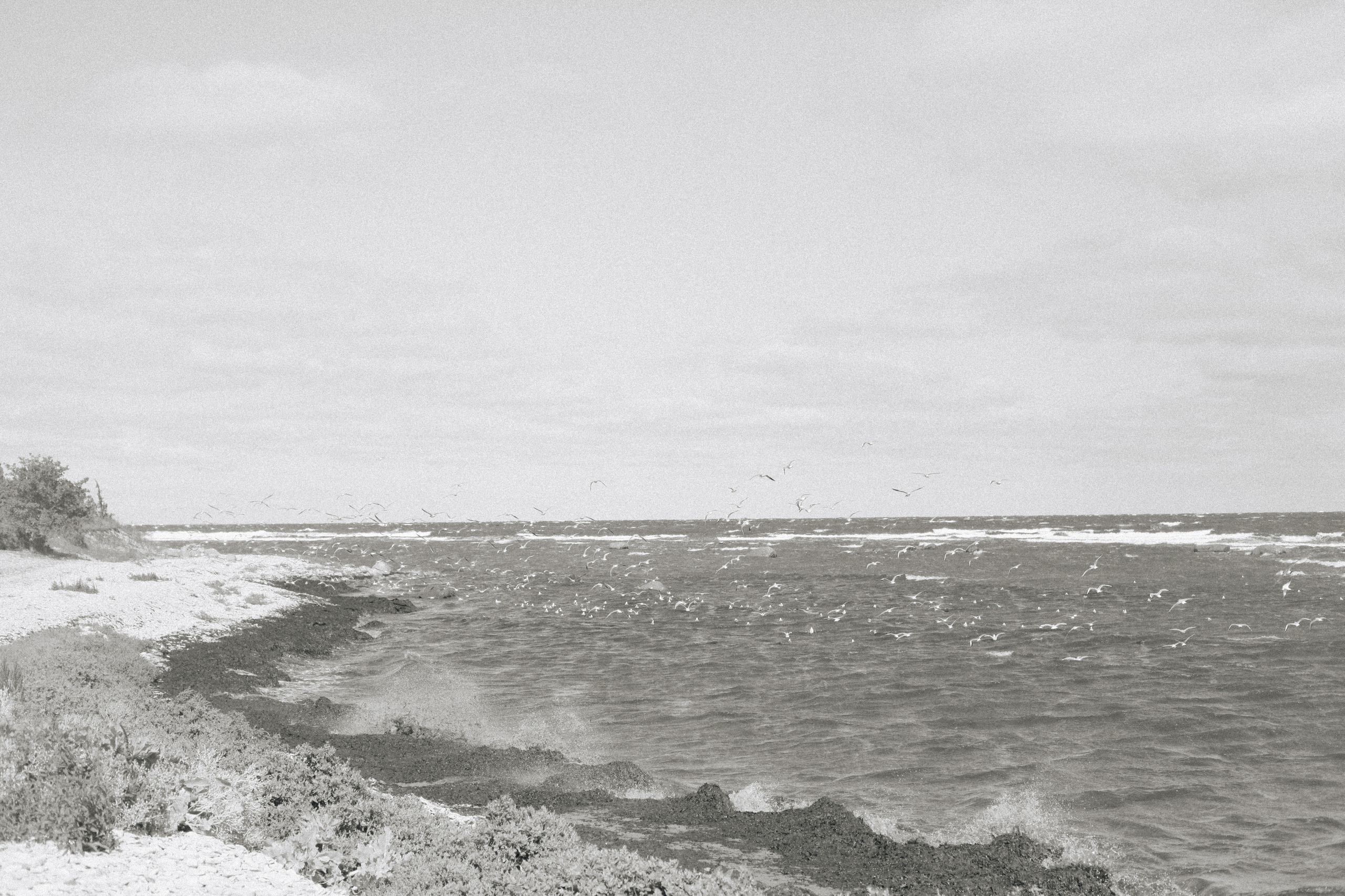 И вот мне приснилось, что сердце моё не болит. Ксения Плотникова