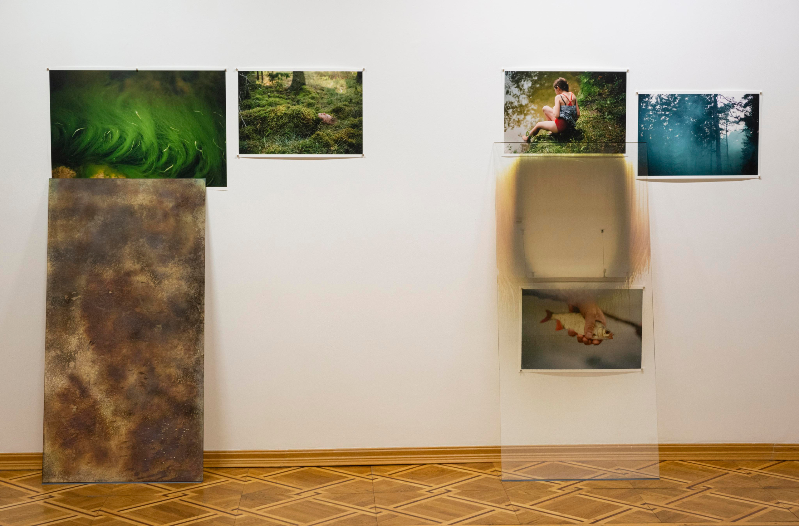 И вот мне приснилось, что сердце моё не болит. Ксения Плотникова