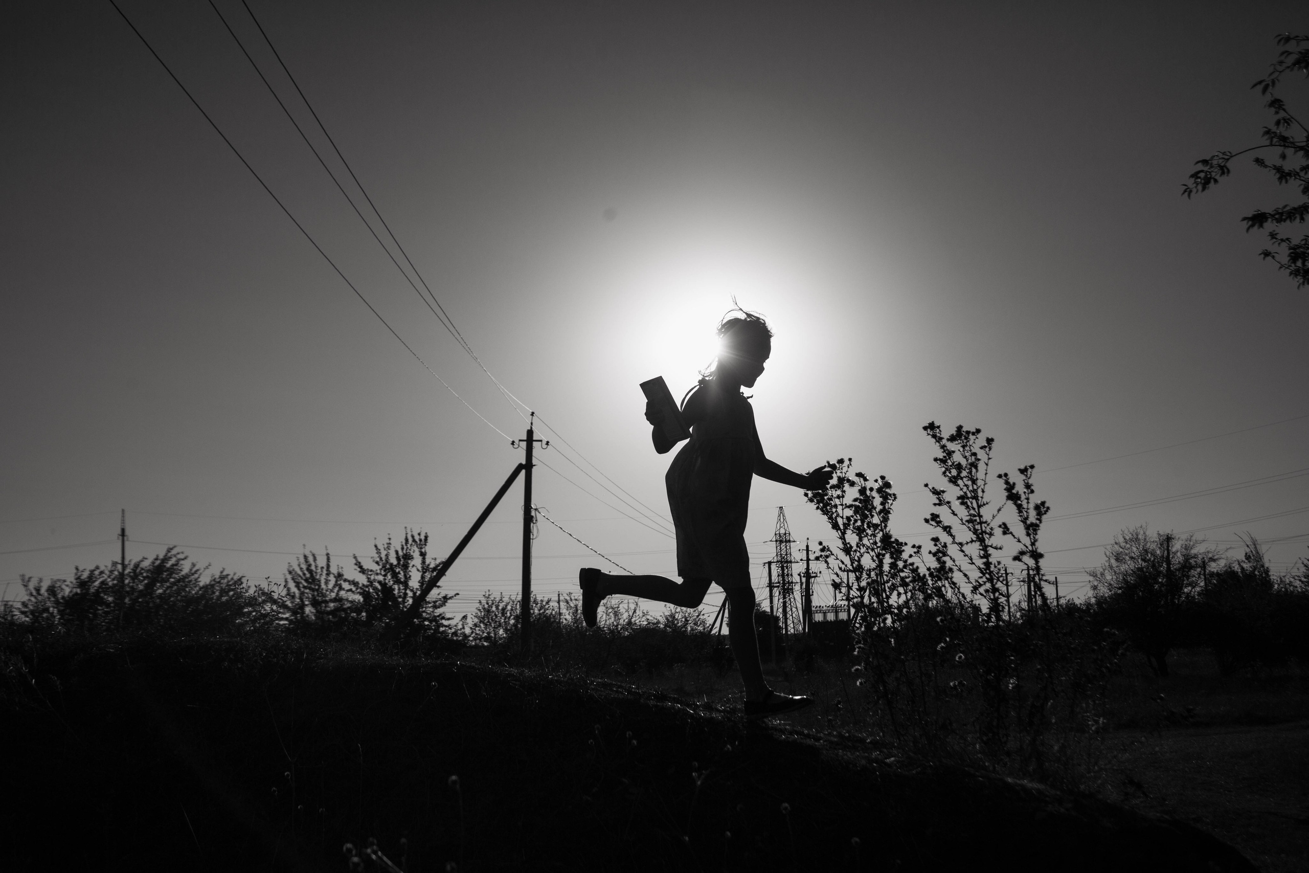 Foto-creator Alisa Zobova