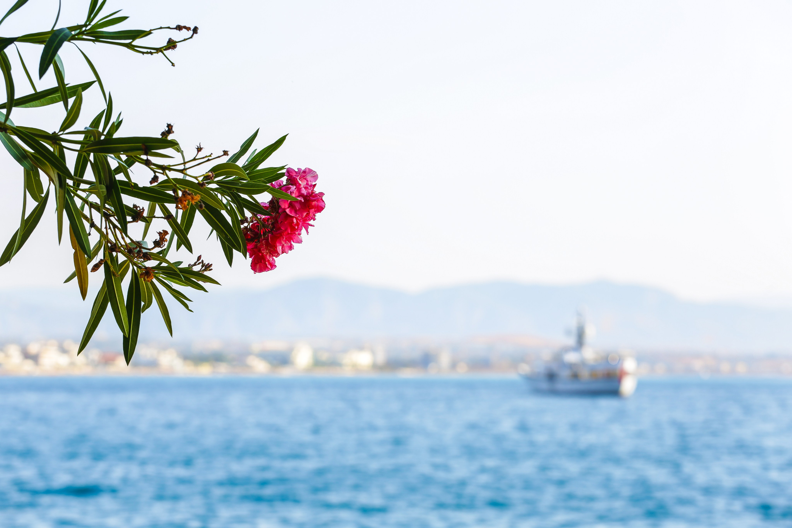 Греция: термальный курорт Лутраки. Дарья Письменюк / Darya Leitstern — фотограф, музыкант, журналист, путешественник