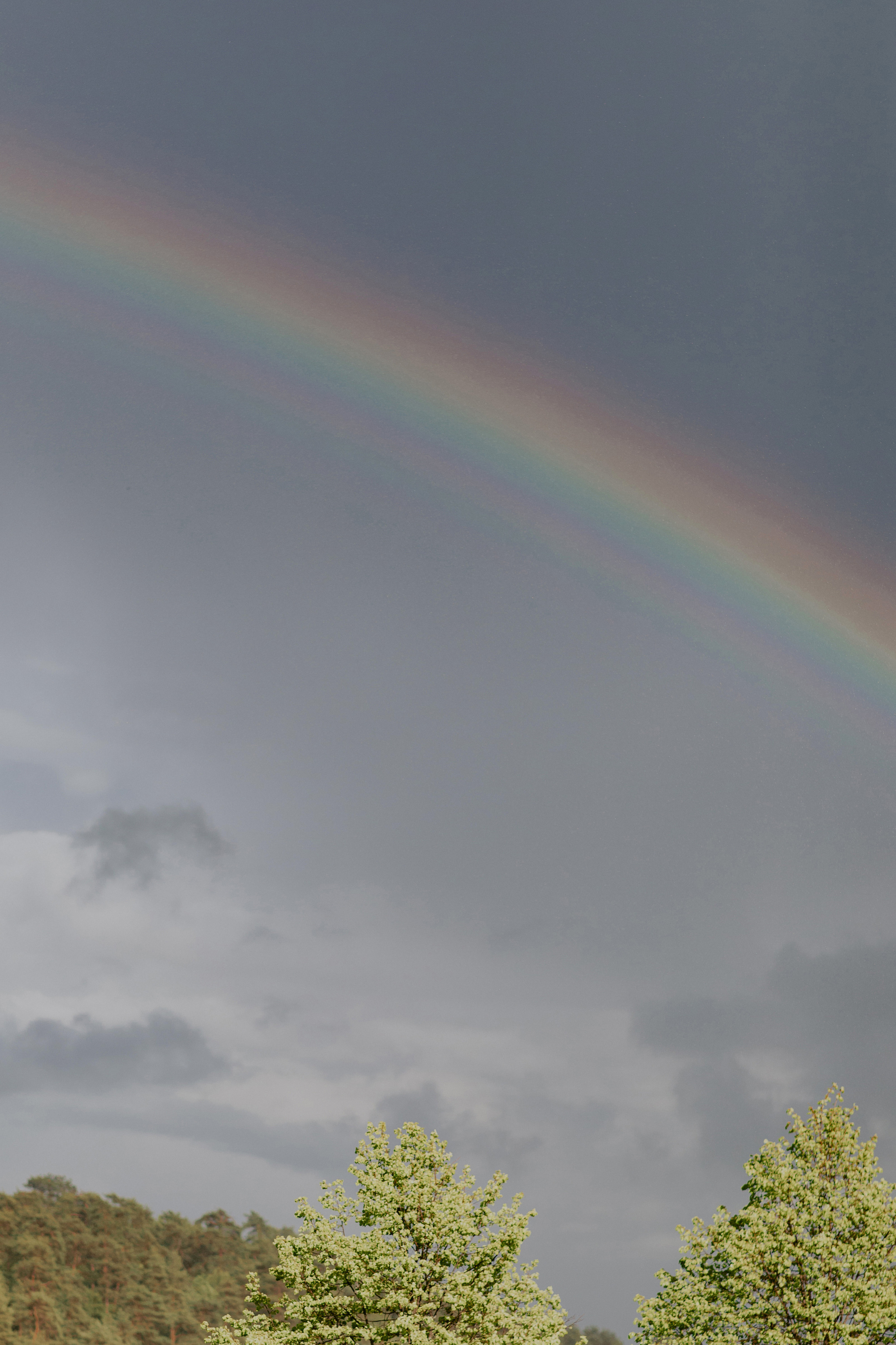 Алексей и Диана. Фотограф в Москве и Подольске Алла Богатова