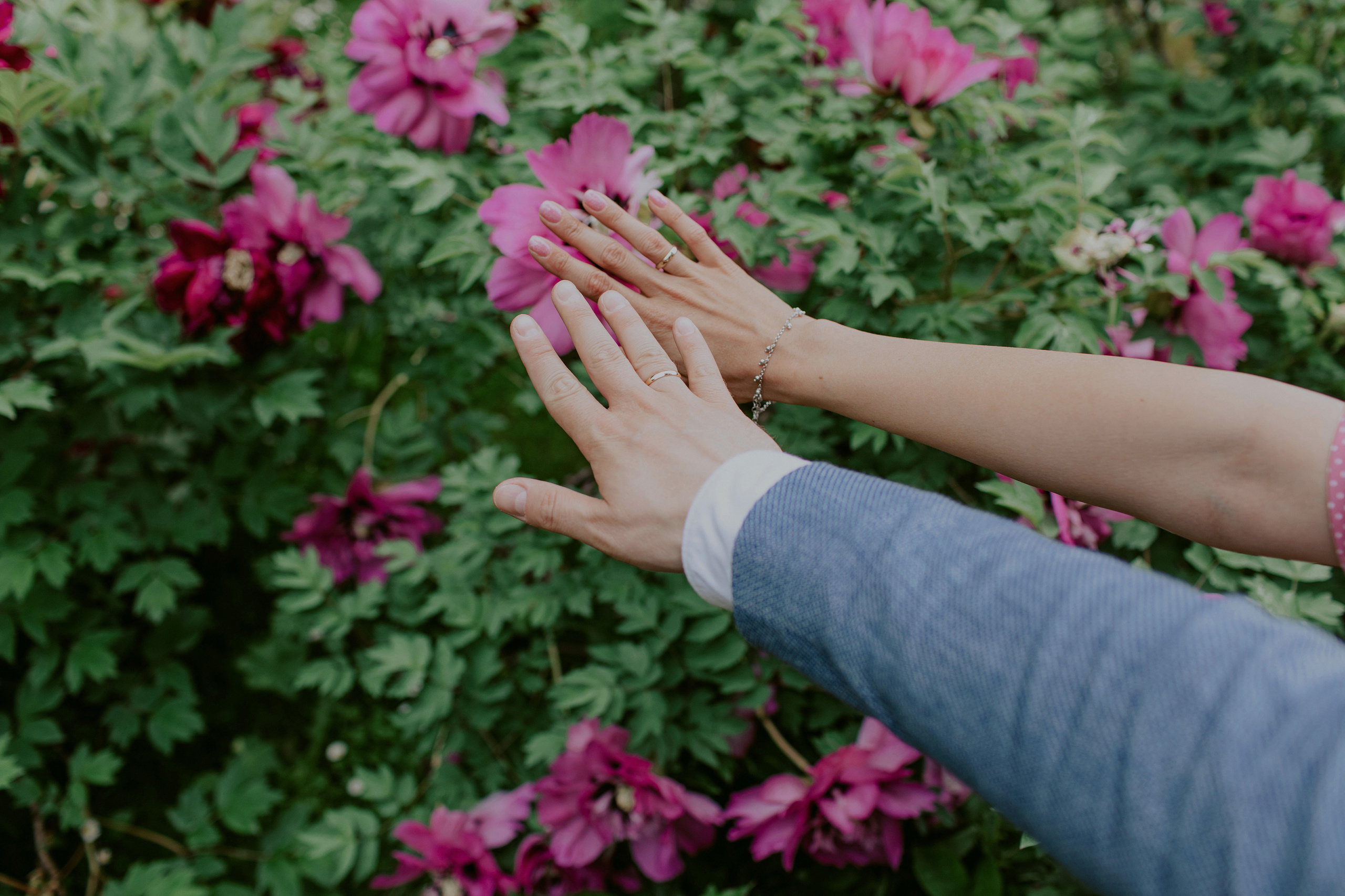 свадьба Аптекарский огород