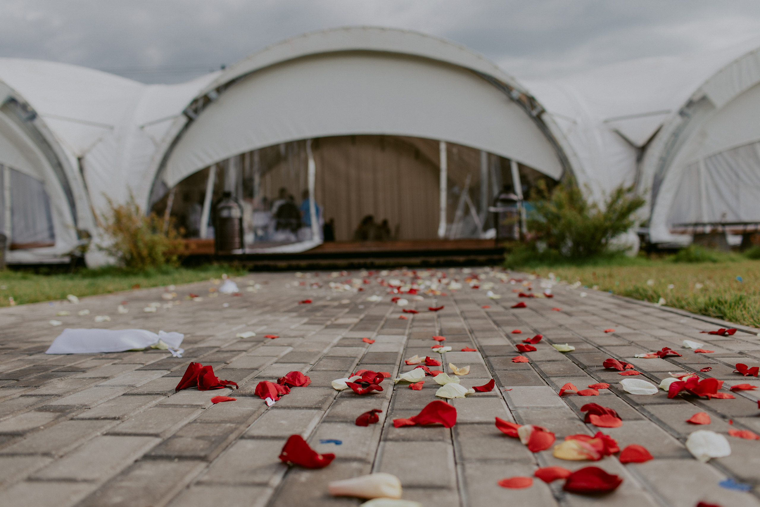 Женя и Аня, первые фото. Фотограф в Москве и Подольске Алла Богатова