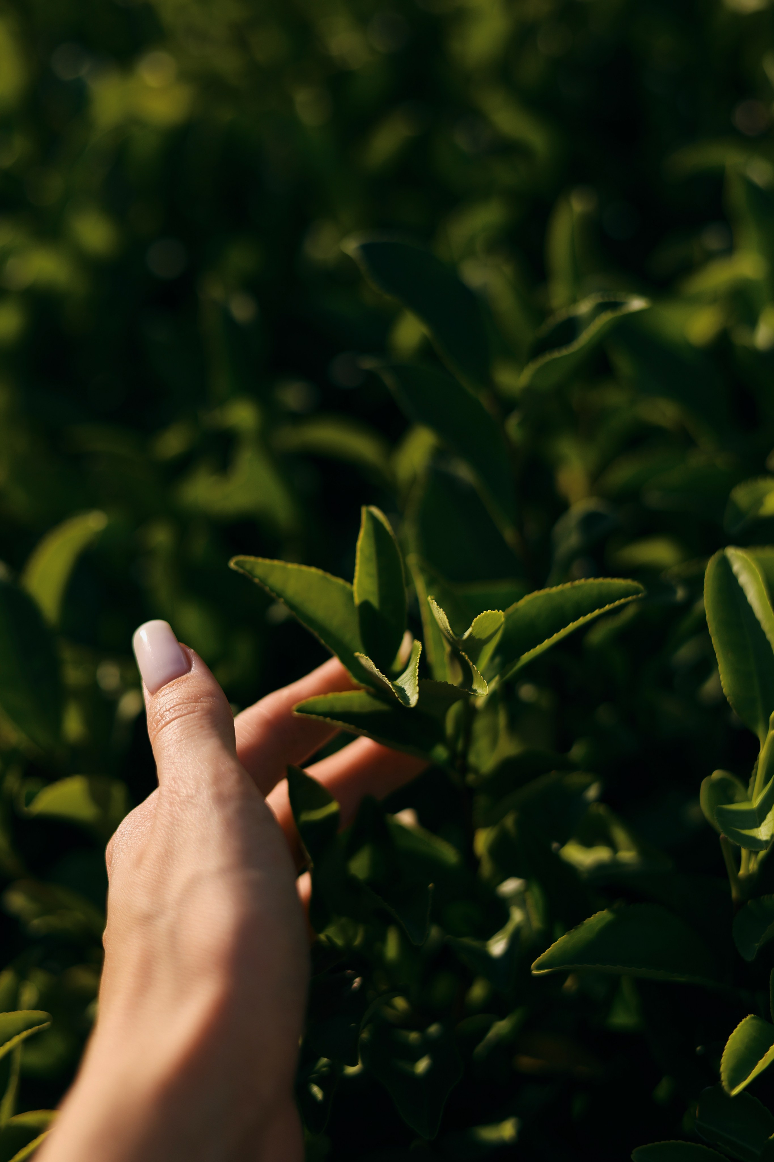 Путешествия. Mariyaschmidt