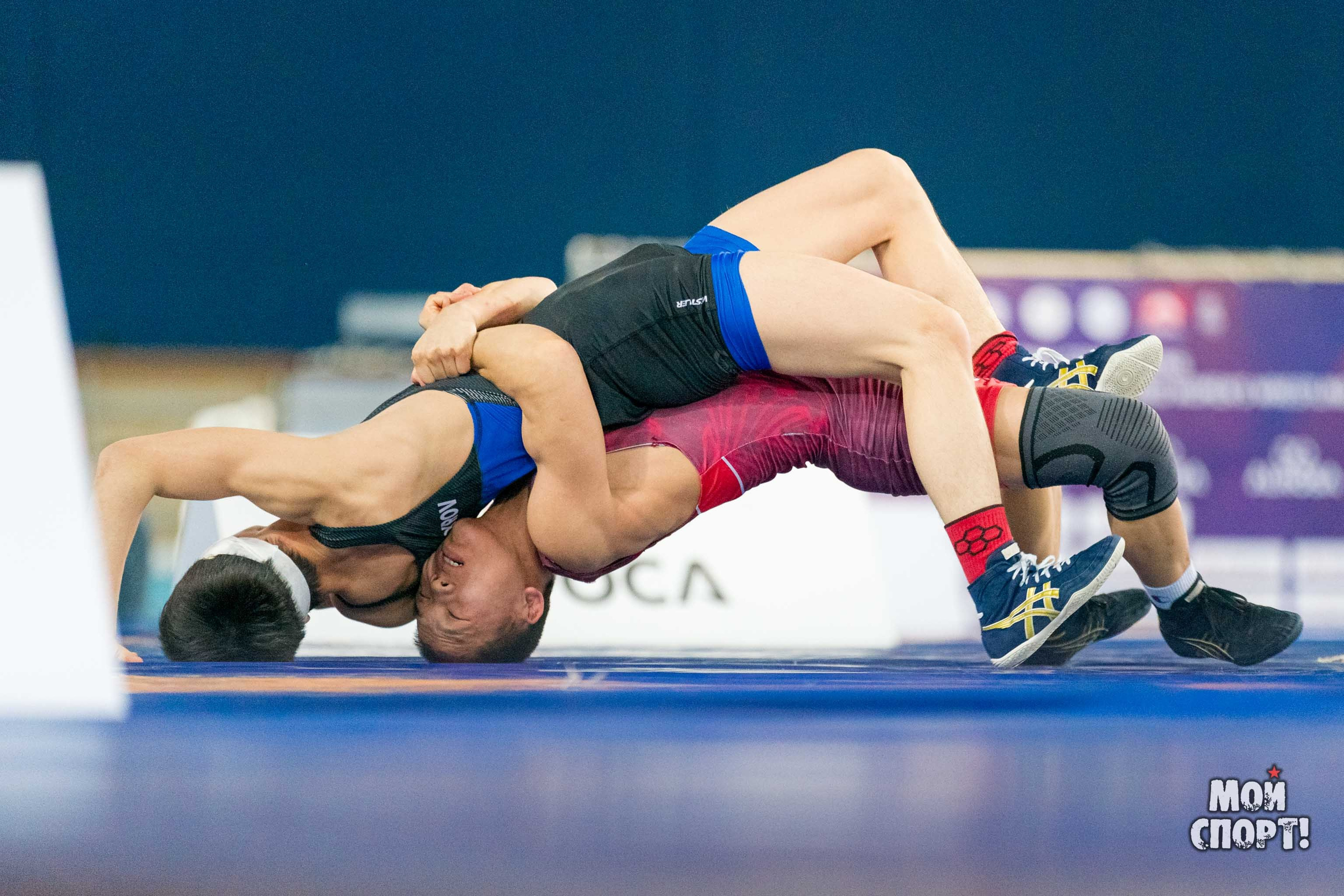 Международный турнир по вольной борьбе среди юниоров памяти олимпийского чемпиона Романа Дмитриева. Студия «Мой Спорт!» — все о спорте в Якутии