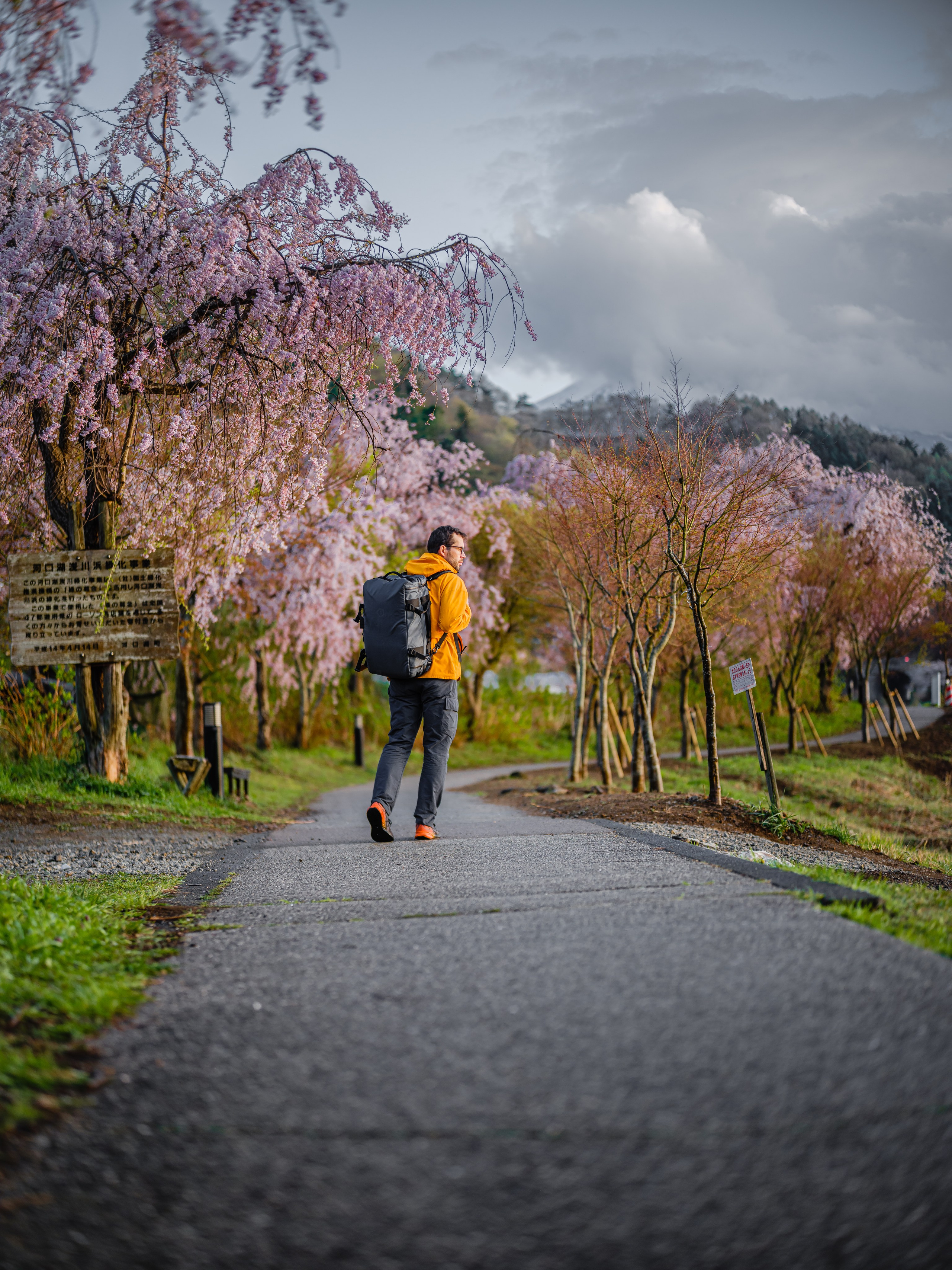 Невероятная Япония: Сезон Цветение Сакуры. Свадебный и Студийный фотограф из Казахстана Артем Орлянский