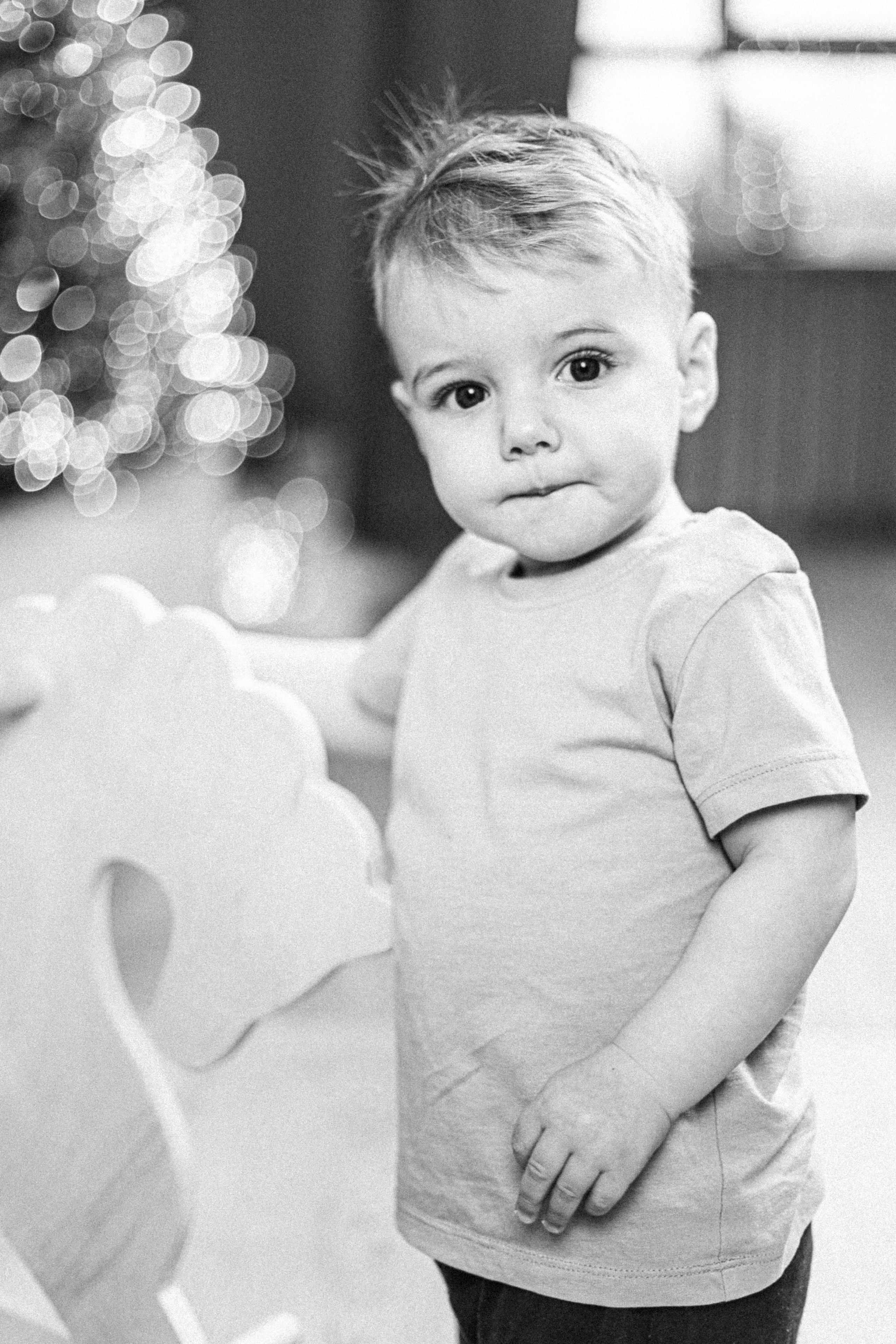 Новогодние. Арт-фотограф Крис Л. в Тобольске: портрет, семейные, свадьбы