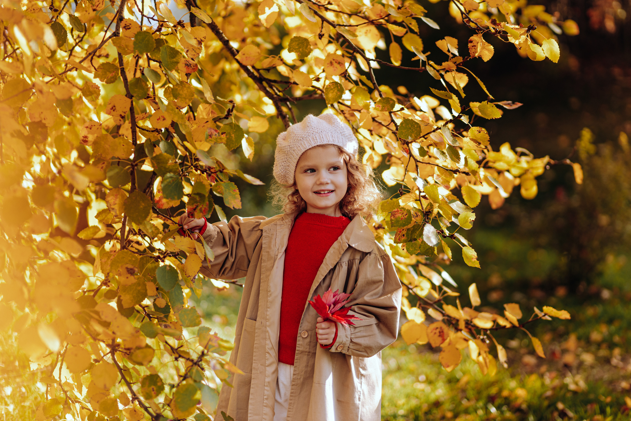 Набор Autumn. Свадебный и репортажный фотограф Ольга Шевелёва