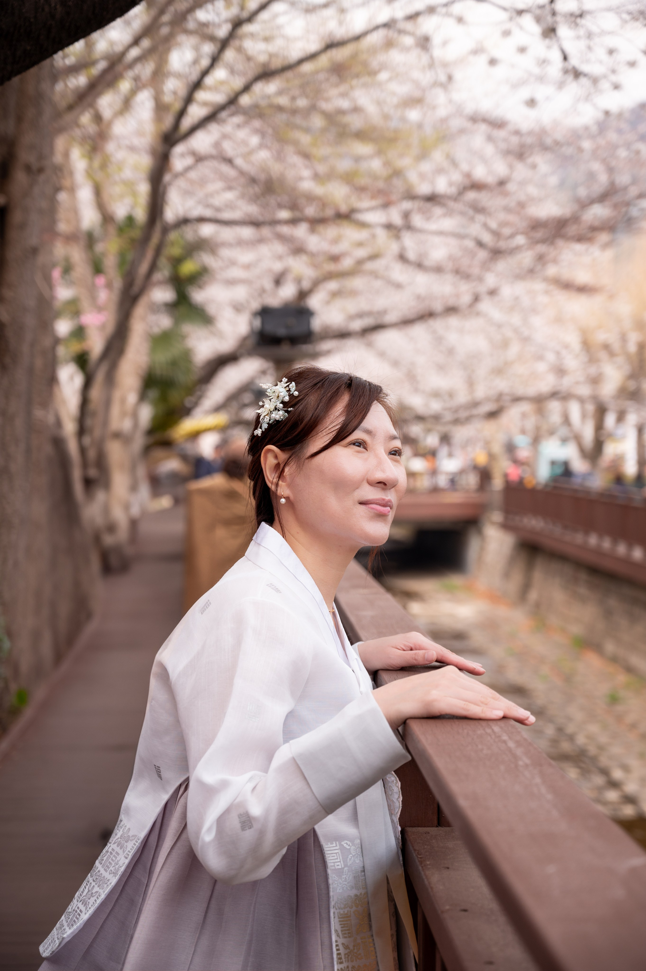 Traditional Korean hanbok portrait under spring blossoms Busan
