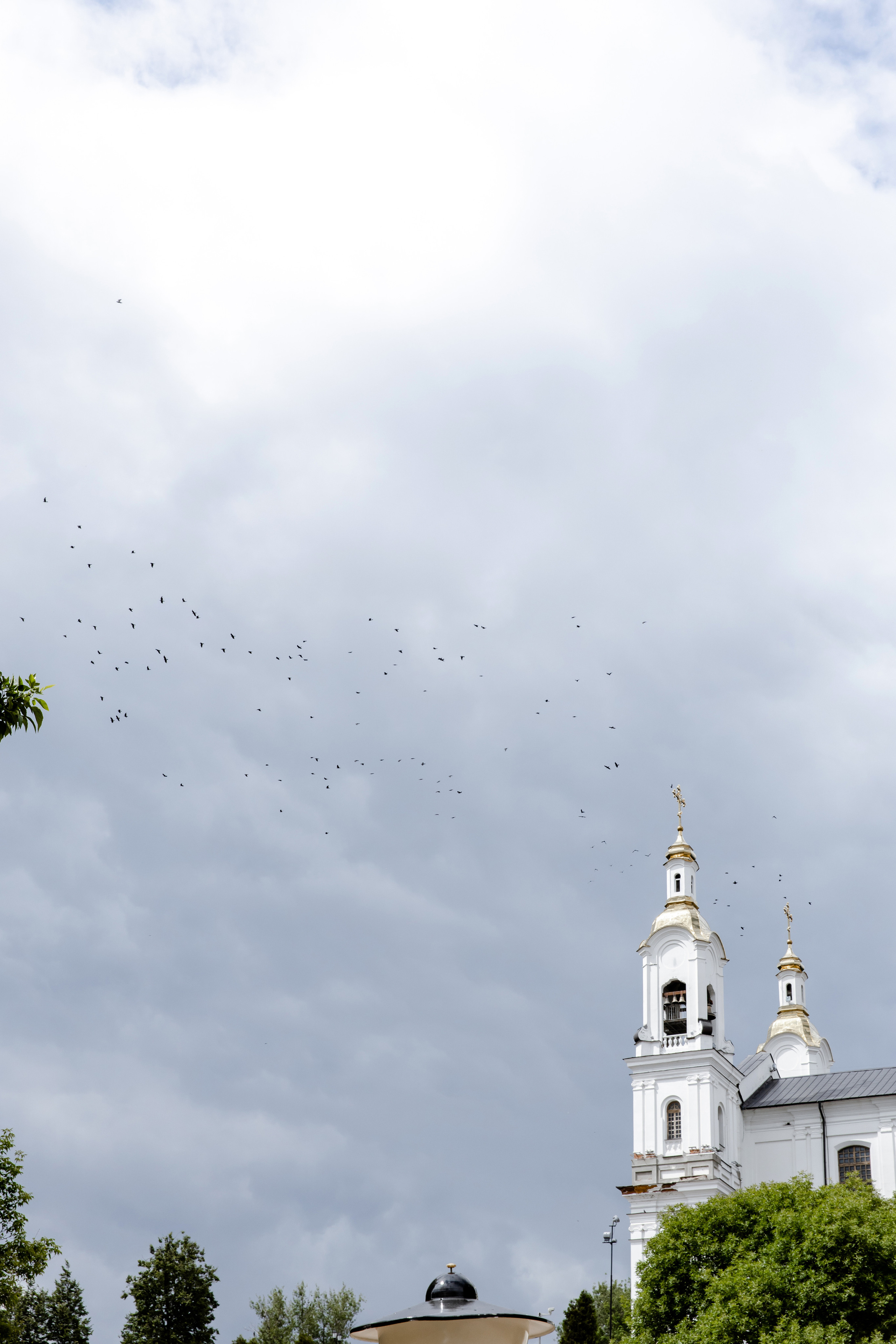 Свадебный день Ильи и Даши. Свадебный фотограф Анна Бабахина